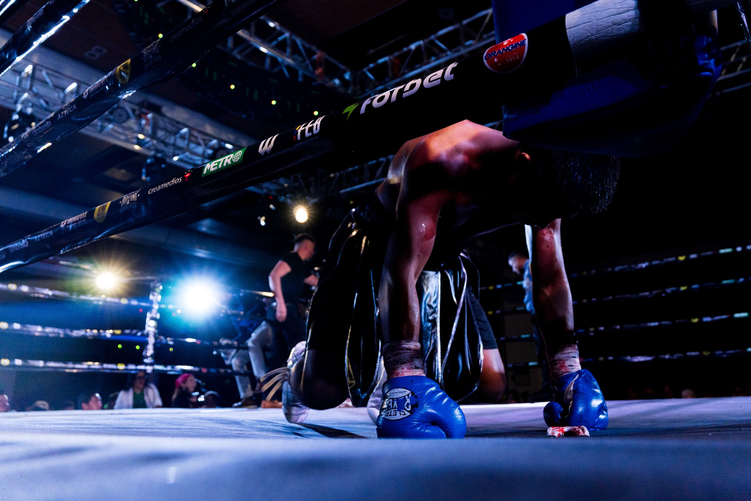 Boxer kneeling in the ring during a match, with a boxing ring overhead, illuminated by bright lights, and spectators in the background.