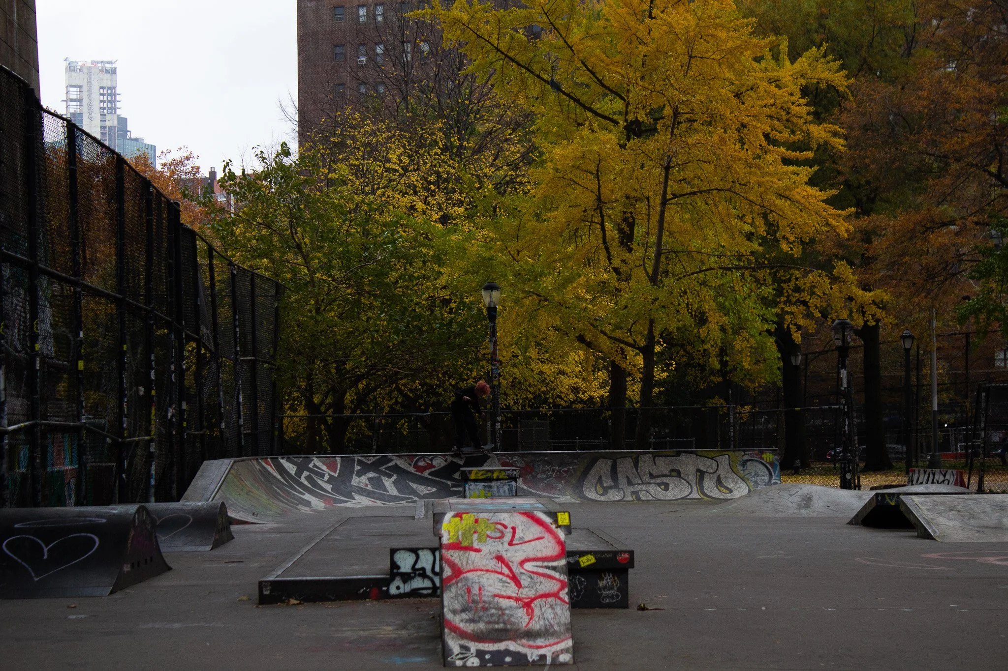 An empty skatepark with graffiti-covered ramps and rails, surrounded by trees with yellow and orange autumn leaves, in an urban setting with tall buildings in the background.