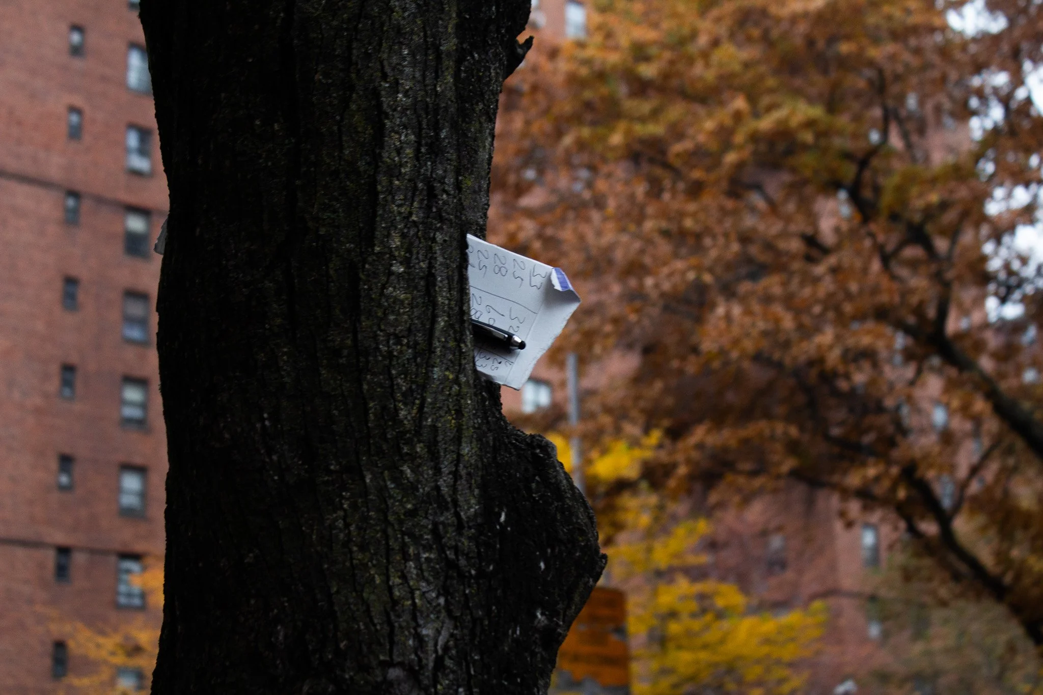 A tree with a piece of paper and a pen attached to it, in front of a building with autumn-colored leaves in the background.