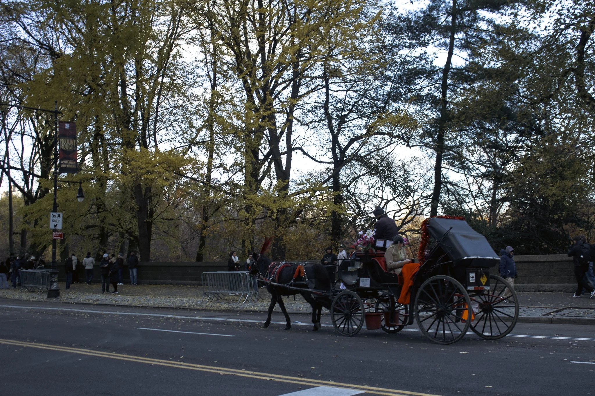A park scene with tall trees with yellow and green leaves, a horse-drawn carriage, and people walking and gathering near the fence on an autumn day.