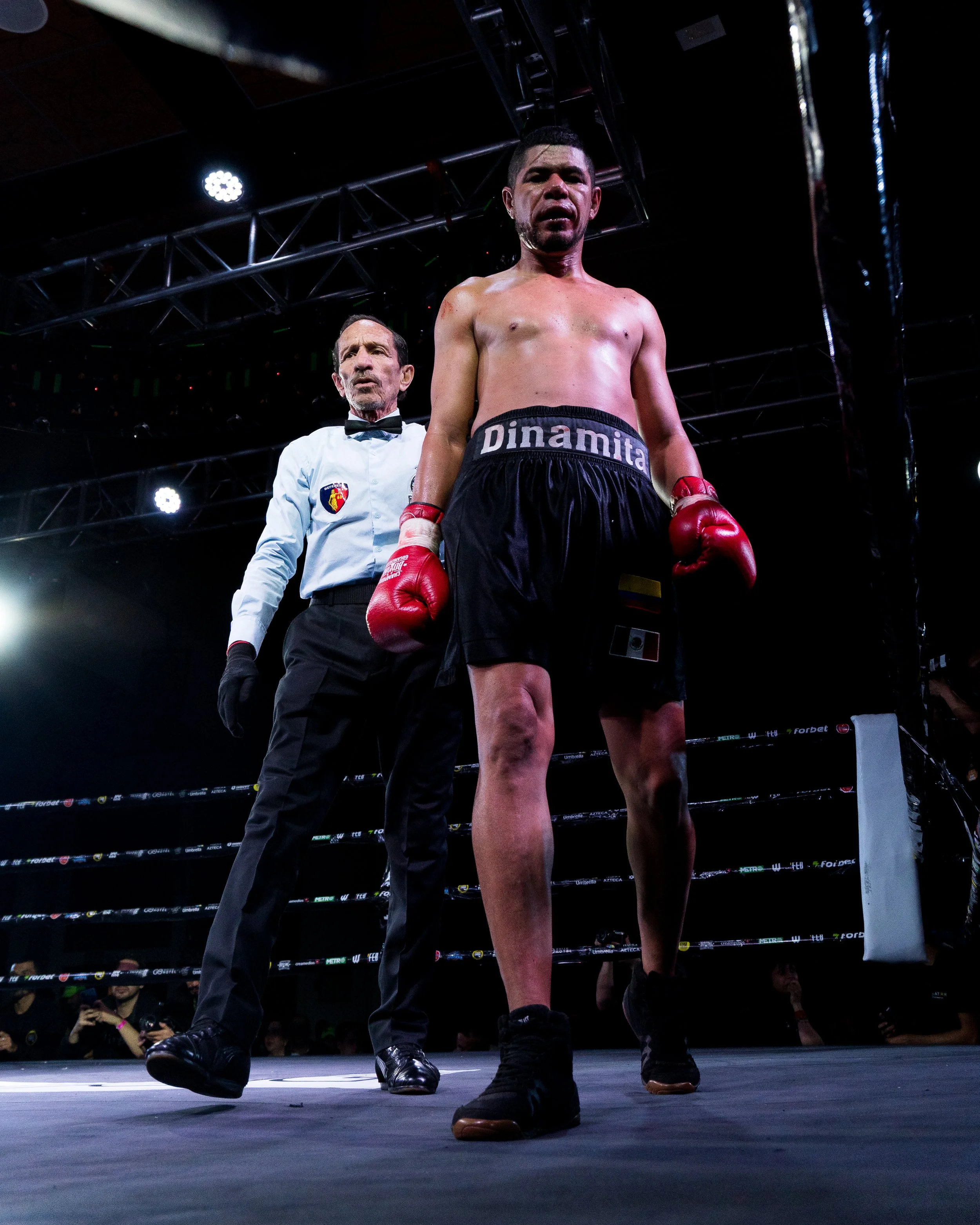 A boxer with red gloves standing in a boxing ring, with a referee behind him. The boxer appears exhausted, and the crowd is visible in the background.