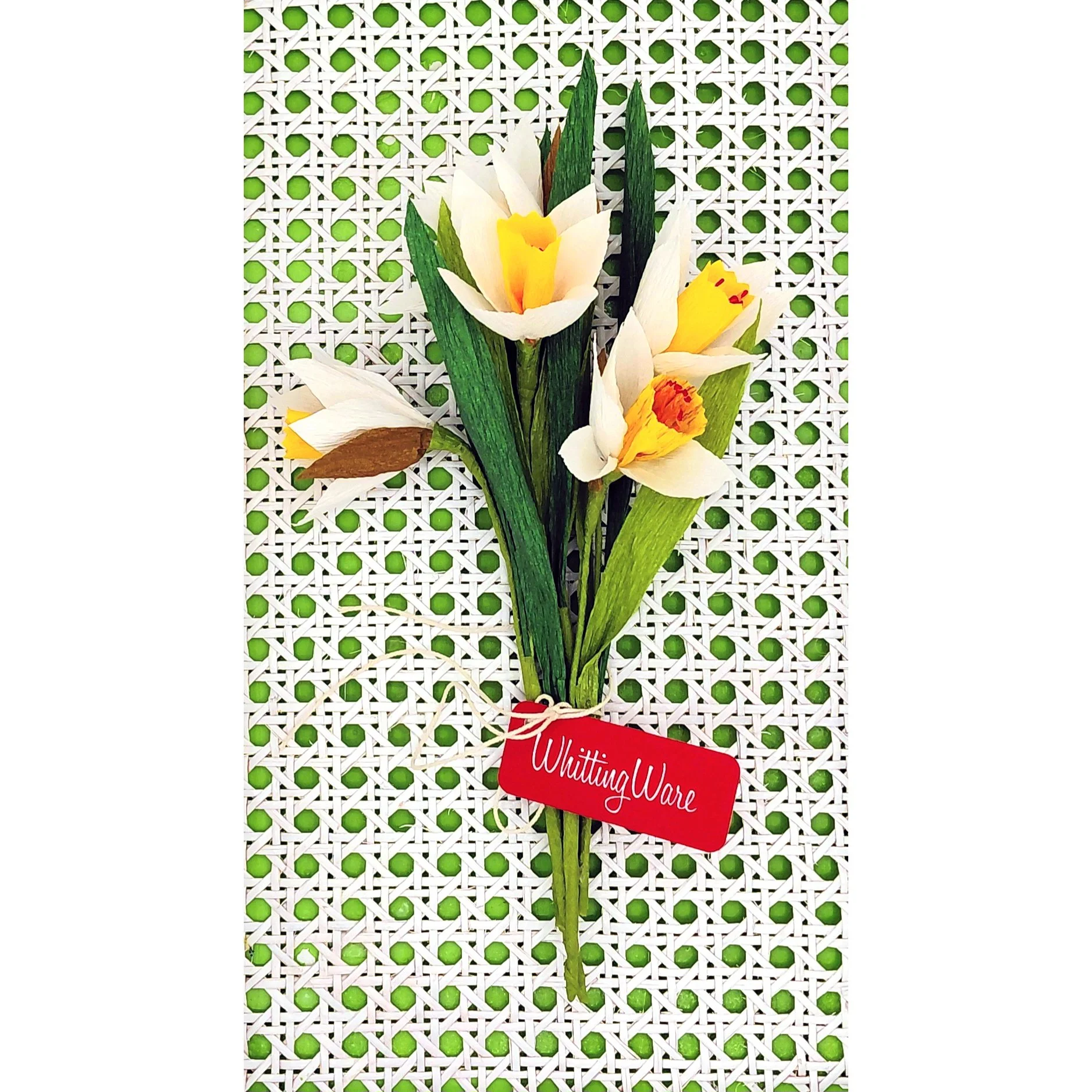 Daffodils on Rattan Square.jpg