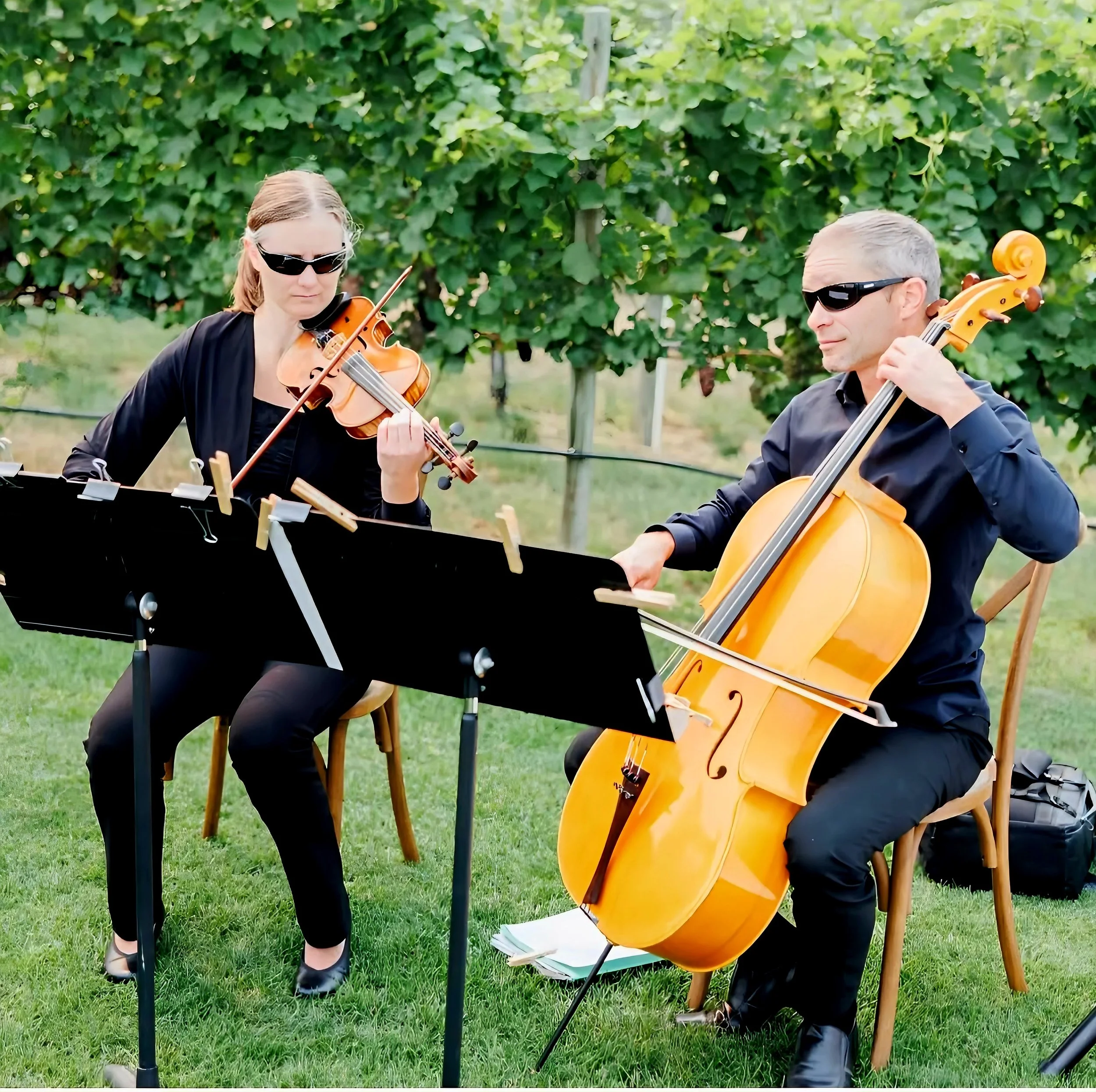 violin and cello duo in vineyard