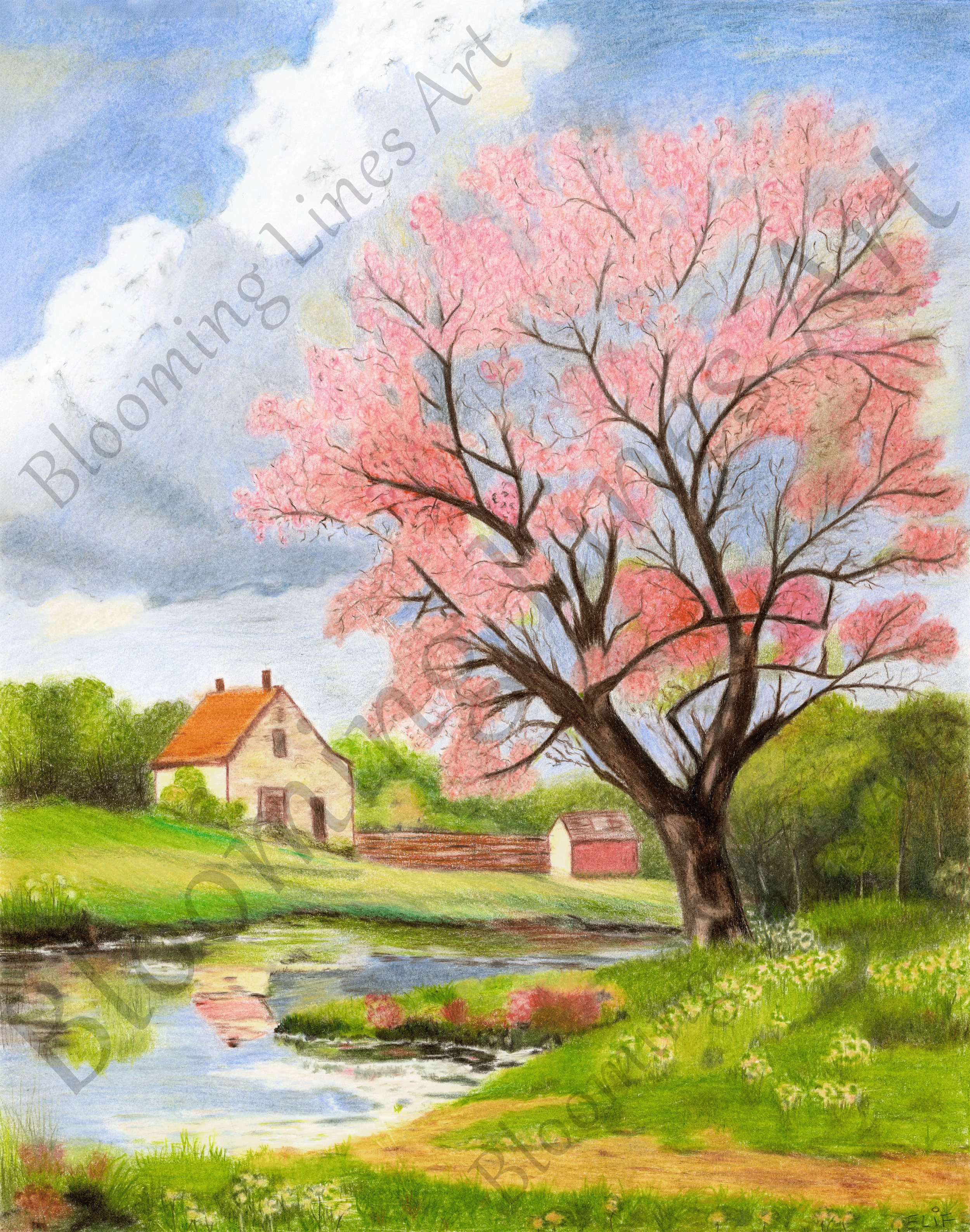 Dreamy Spring on the Hill