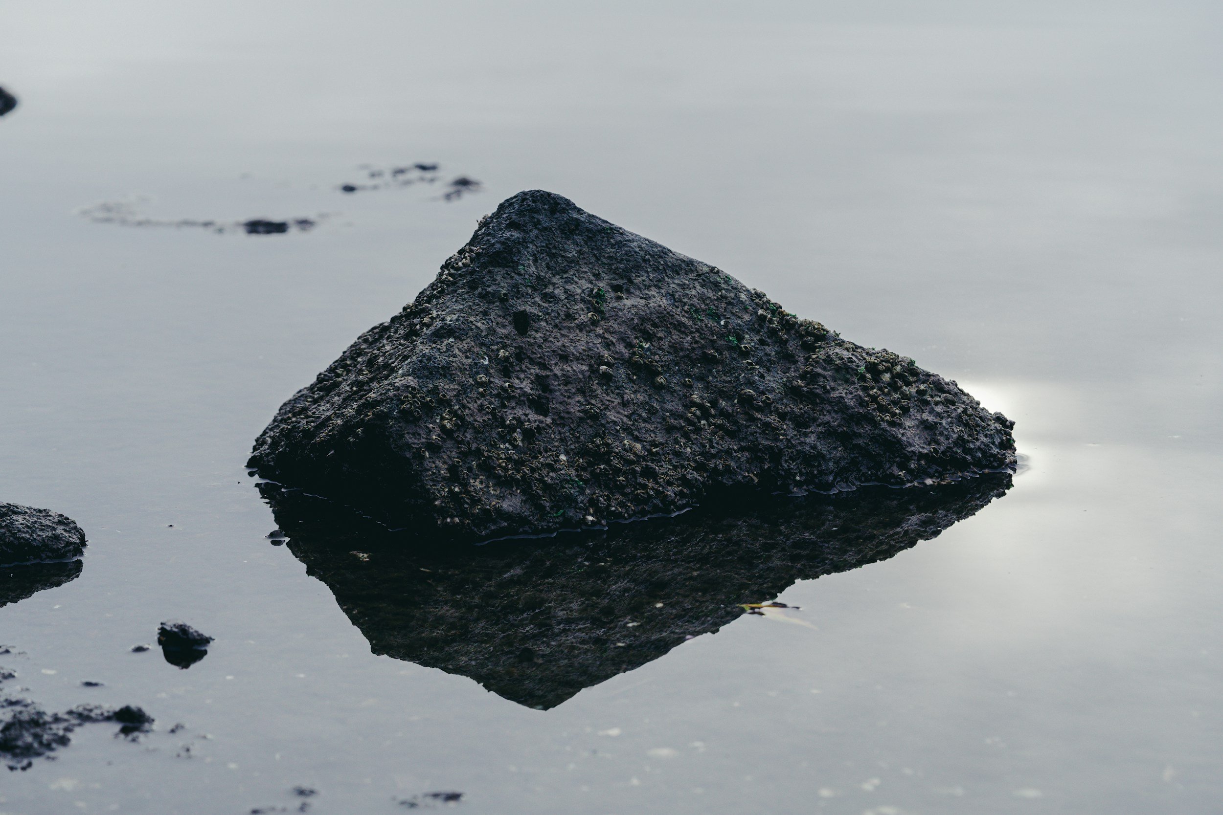 A large, dark, textured rock partially submerged in calm water, with its reflection visible on the water's surface.