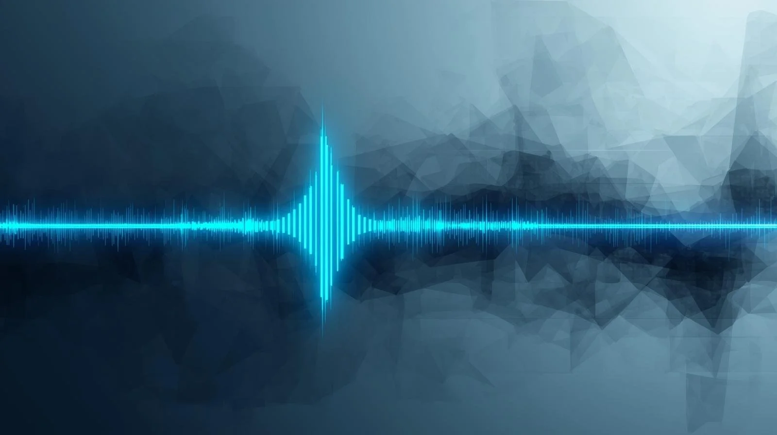 Making Sense of the Noise: A Small‑Business Whisperer’s Guide to Signal‑to‑Noise Ratio