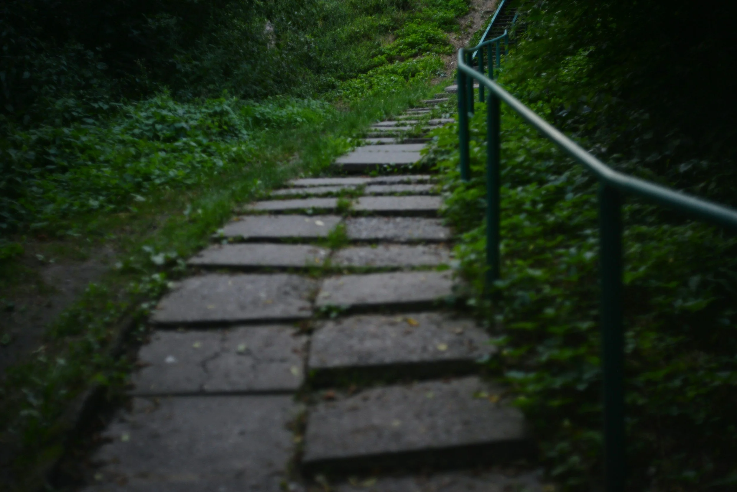 A stone pathway with a green metal handrail on the right, surrounded by lush foliage and trees.