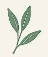 A simple illustration of a green plant with three leaves