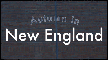 Autumn in New England