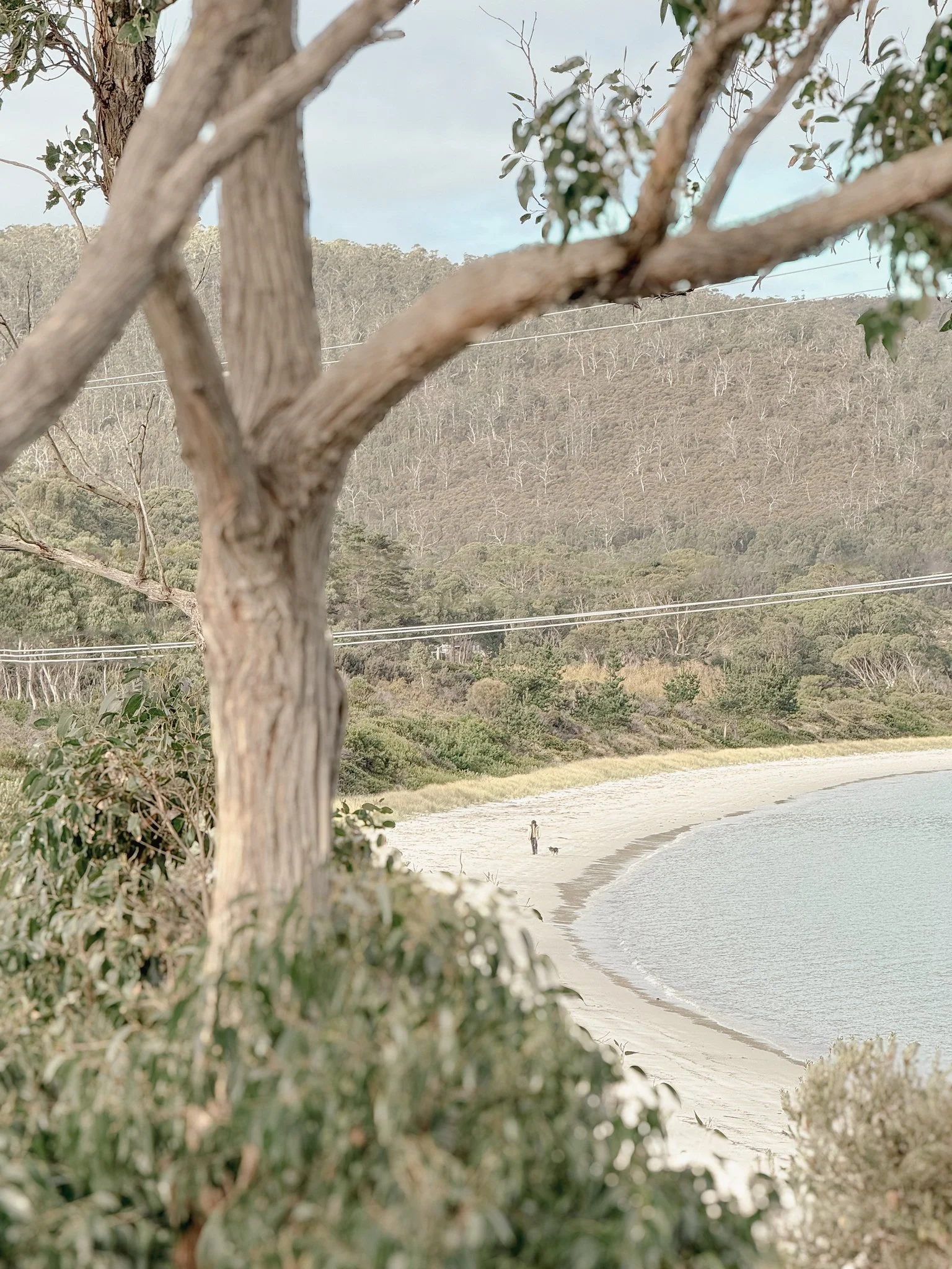 Take your dog for a walk along the beach enjoy the serenity of White Beach