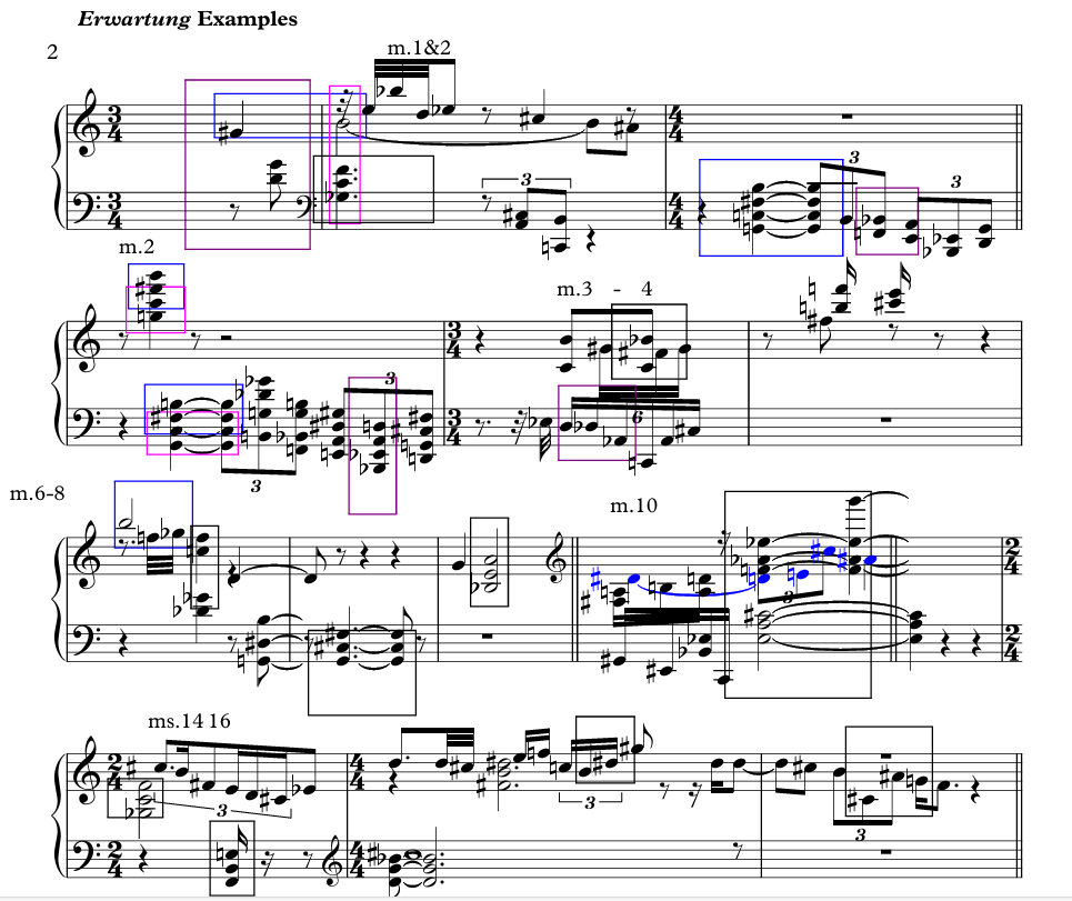 Musical score titled 'Erwartung Examples' with complex notation, multiple staves, and various annotations.
