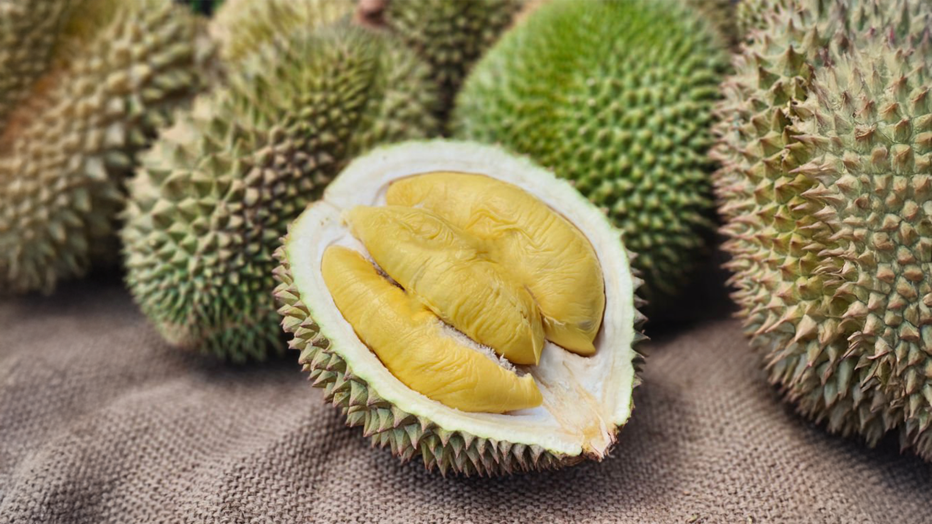 A durian fruit cut open showing its yellow flesh inside with durian spines in the background.