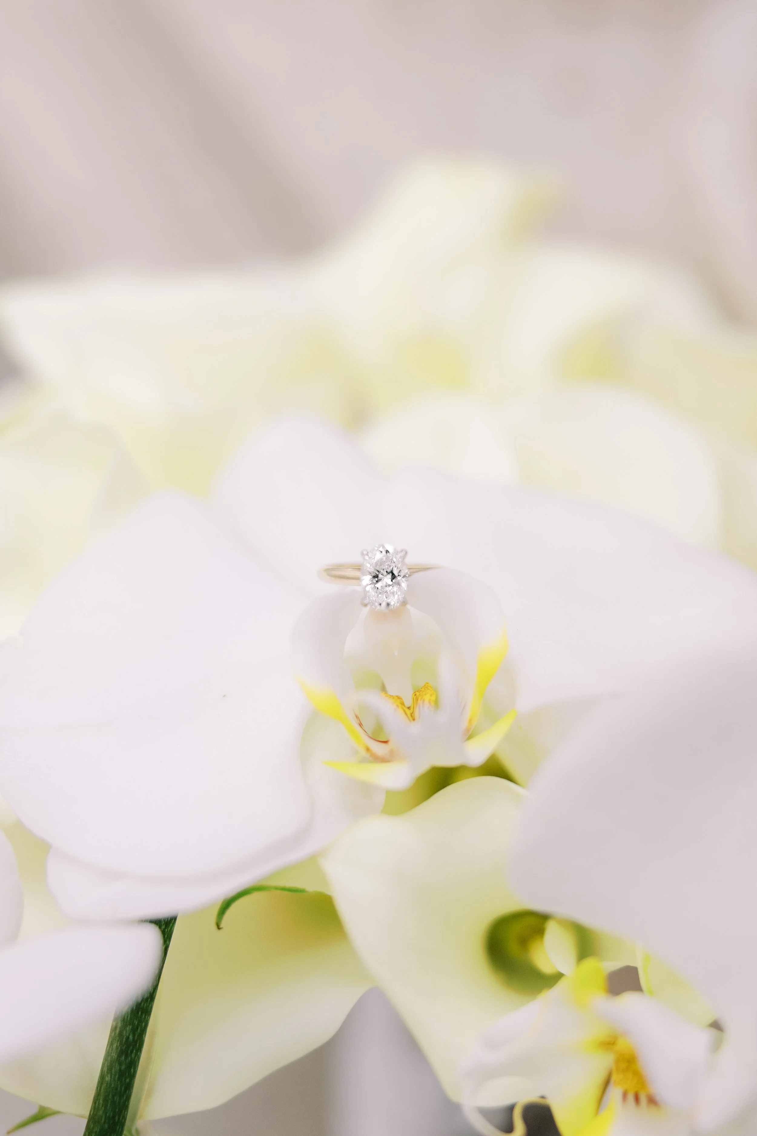 OrlandoWeddingPhotos.jpg