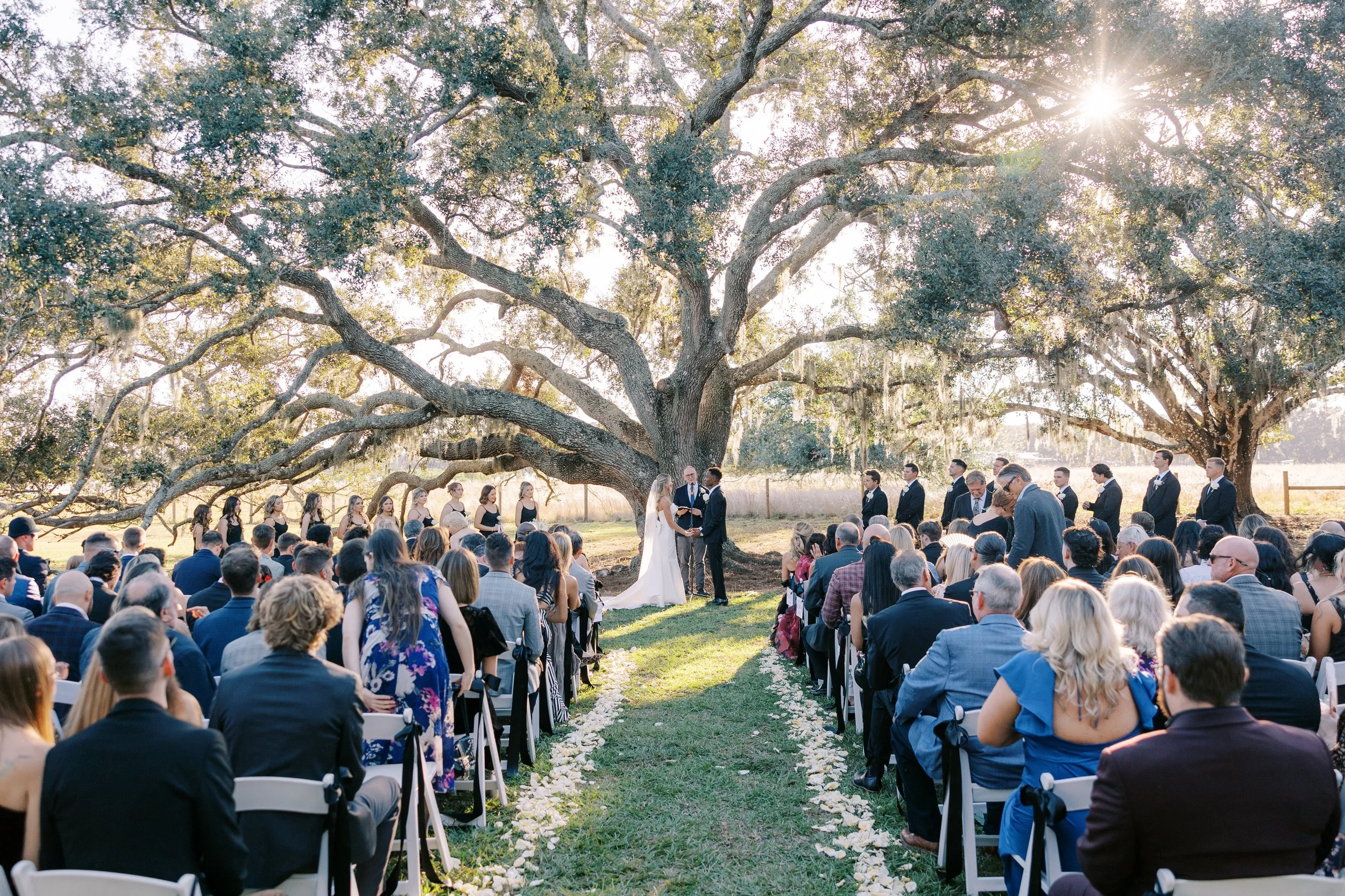 Brown's Grove Ceremony Location Under Oak Tree Wedding Photos