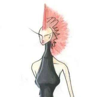 VEIL