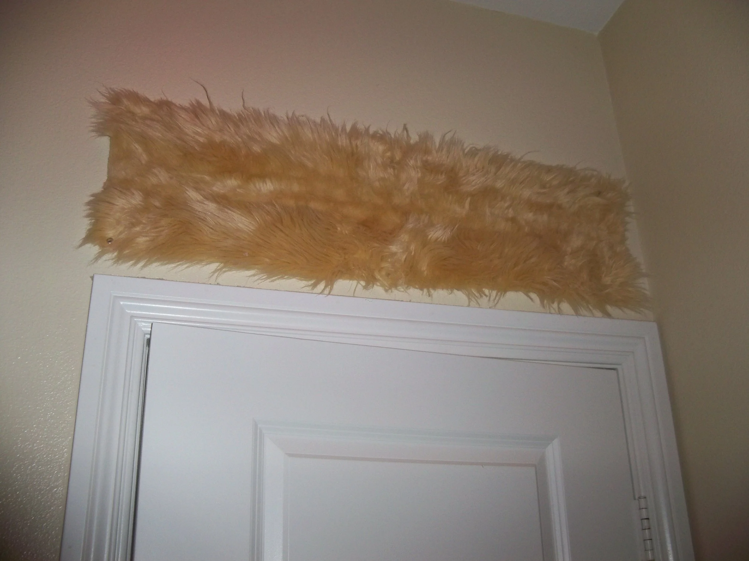 Furry doorway
