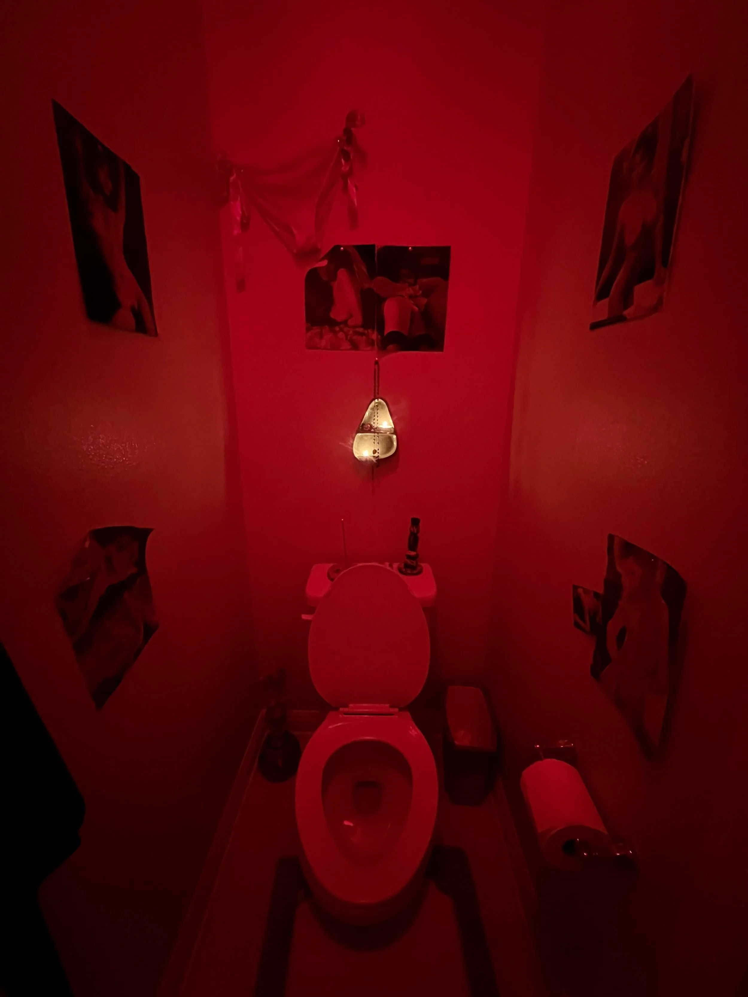 Installation shot of toilet nook