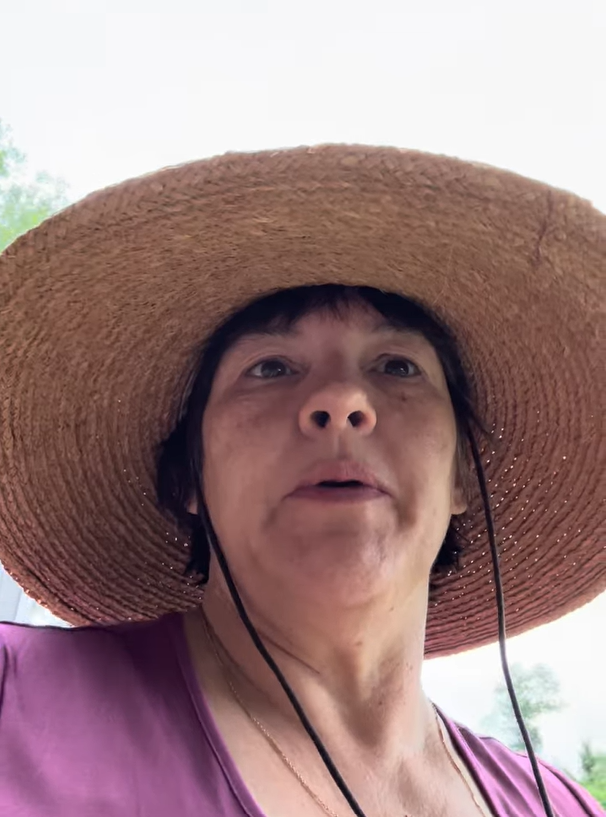 From the Farm: If You Are Discouraged edition