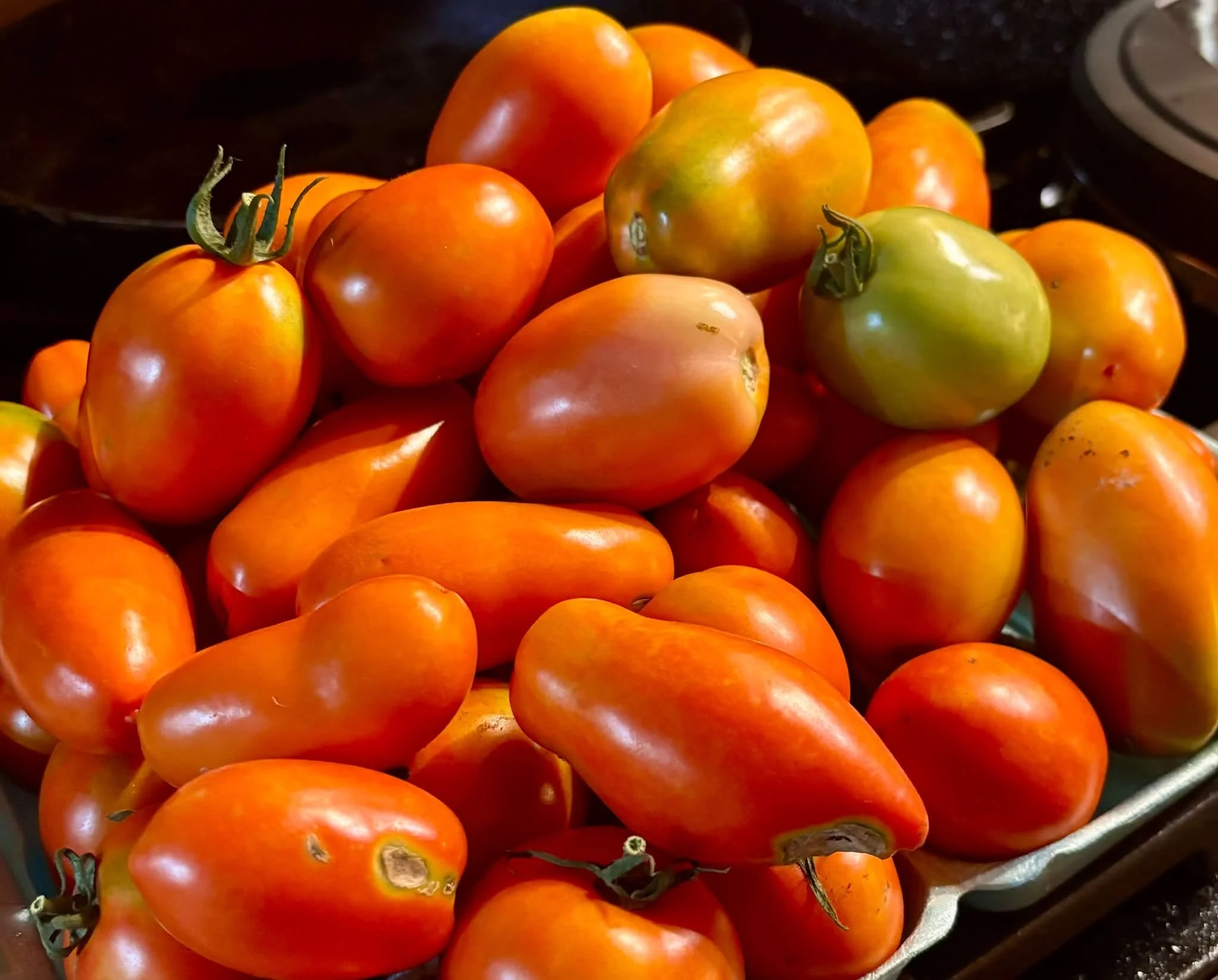 From the Farm: An Extraordinary Ordinary Day