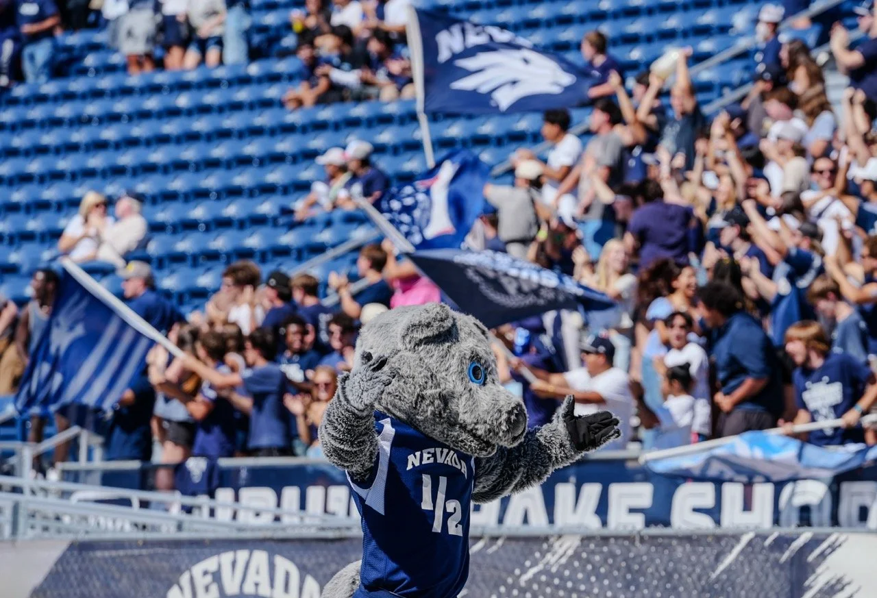 DSC09308-2 copy Large.jpeg