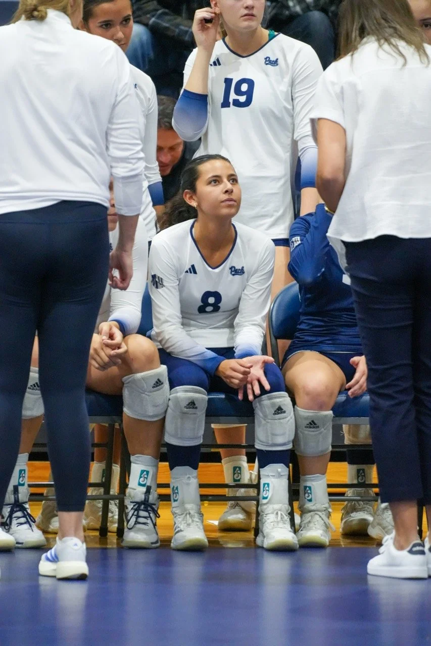 Set3_Navarro8_Bench Large.jpeg