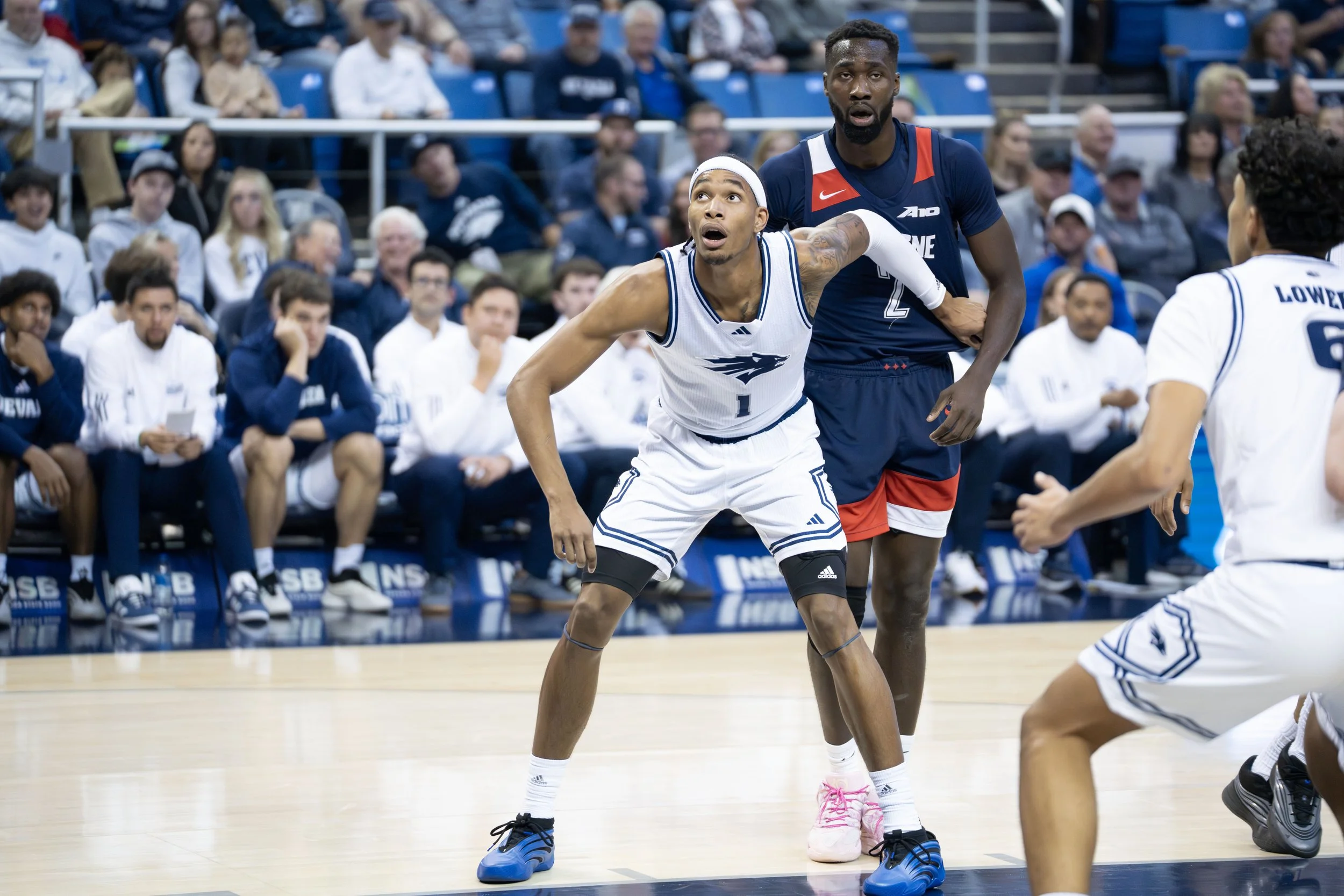 1st Half_Price1_BoxOut.jpg