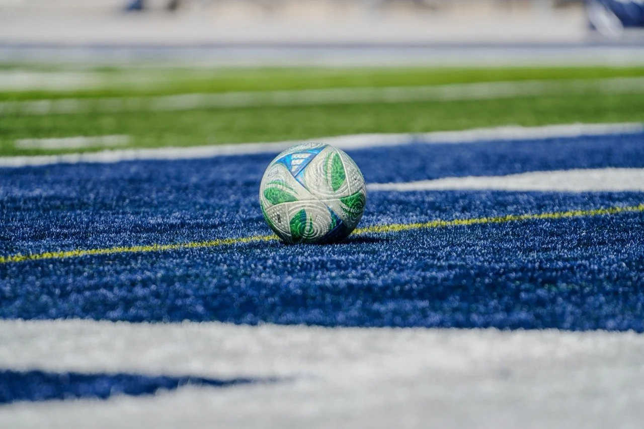 Soccer Ball Large.jpeg