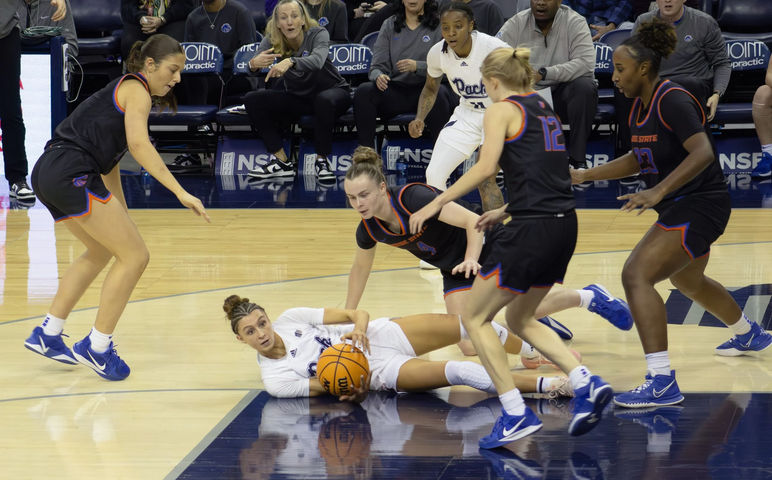 IMG_9052-Enhanced-NR copy.jpg