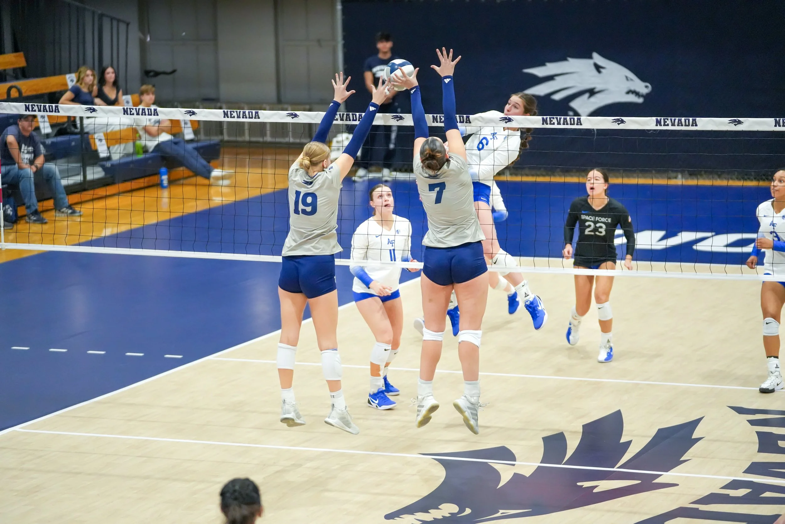 Set1_Sert7 and Walkenhorst19_Block.jpg