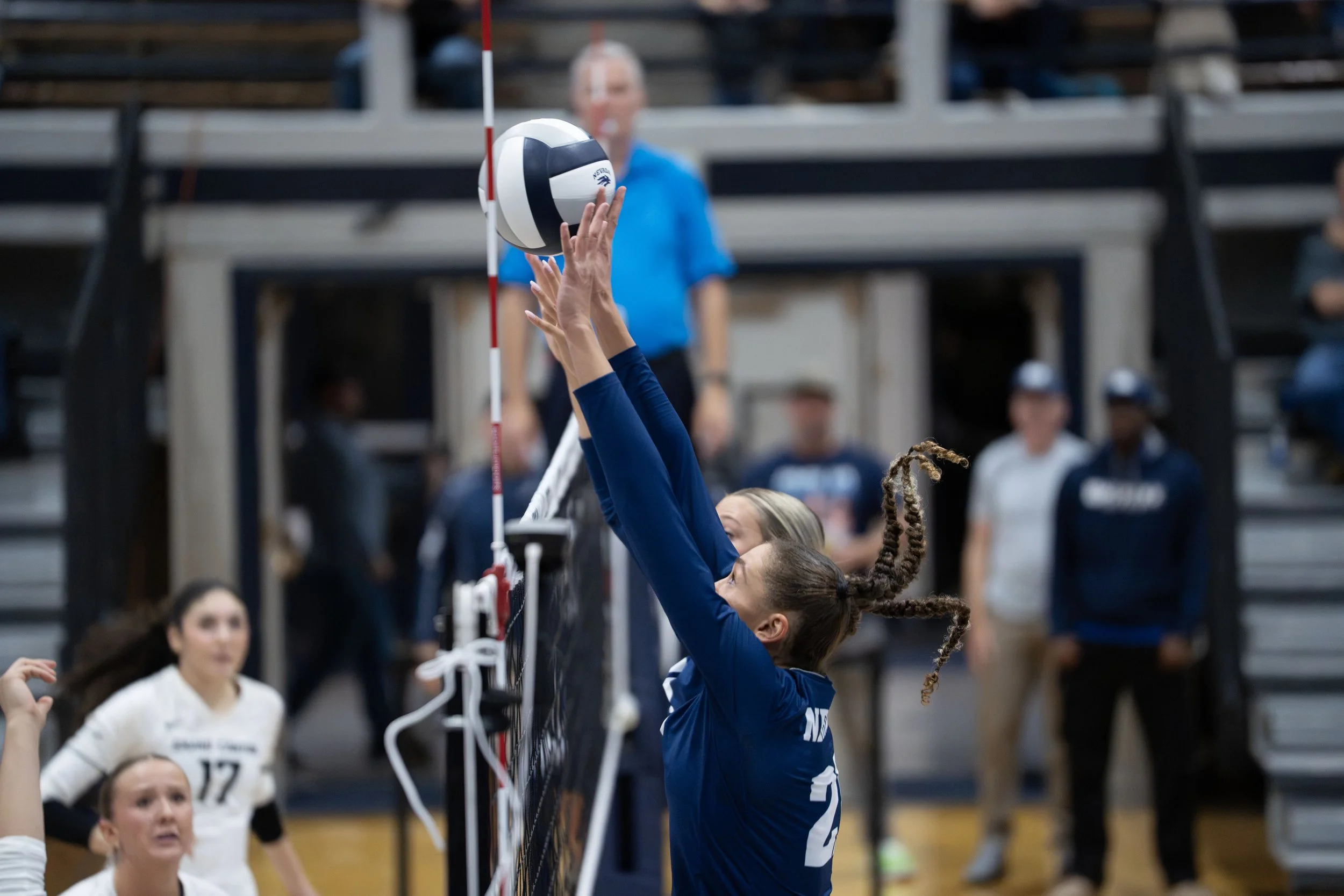 Set4_Brown21 and Tifft16_Block.jpg