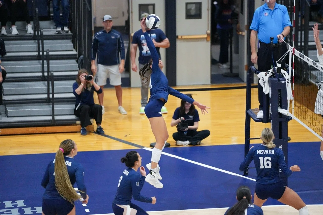 Set1_Brown21_Spike Large.jpeg