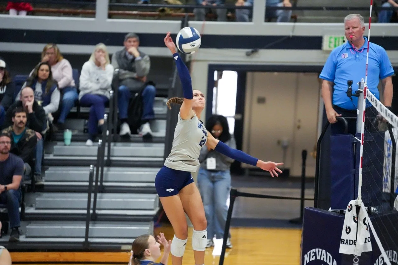 Set3_Brown21_Spike Large.jpeg