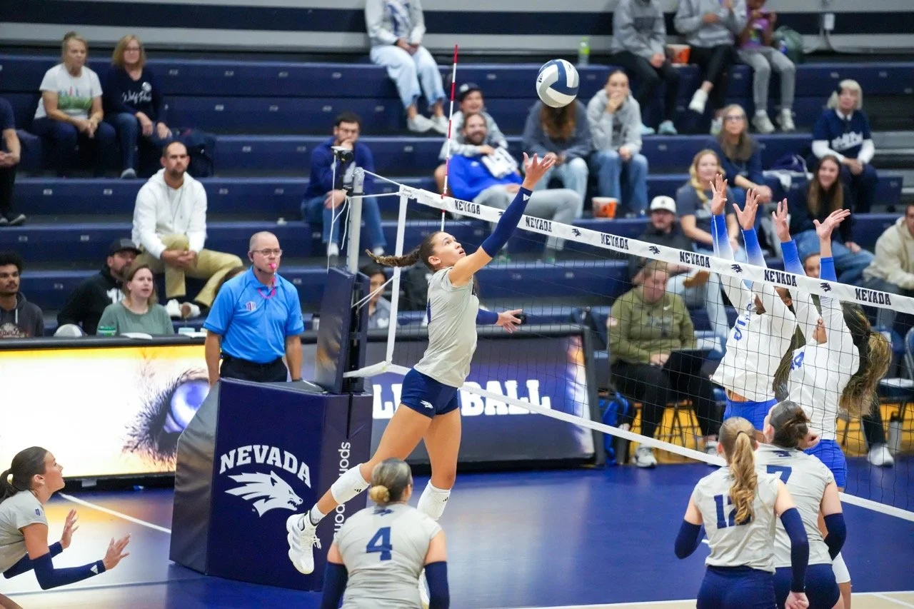 Set2_Brown21_Tip Large.jpeg