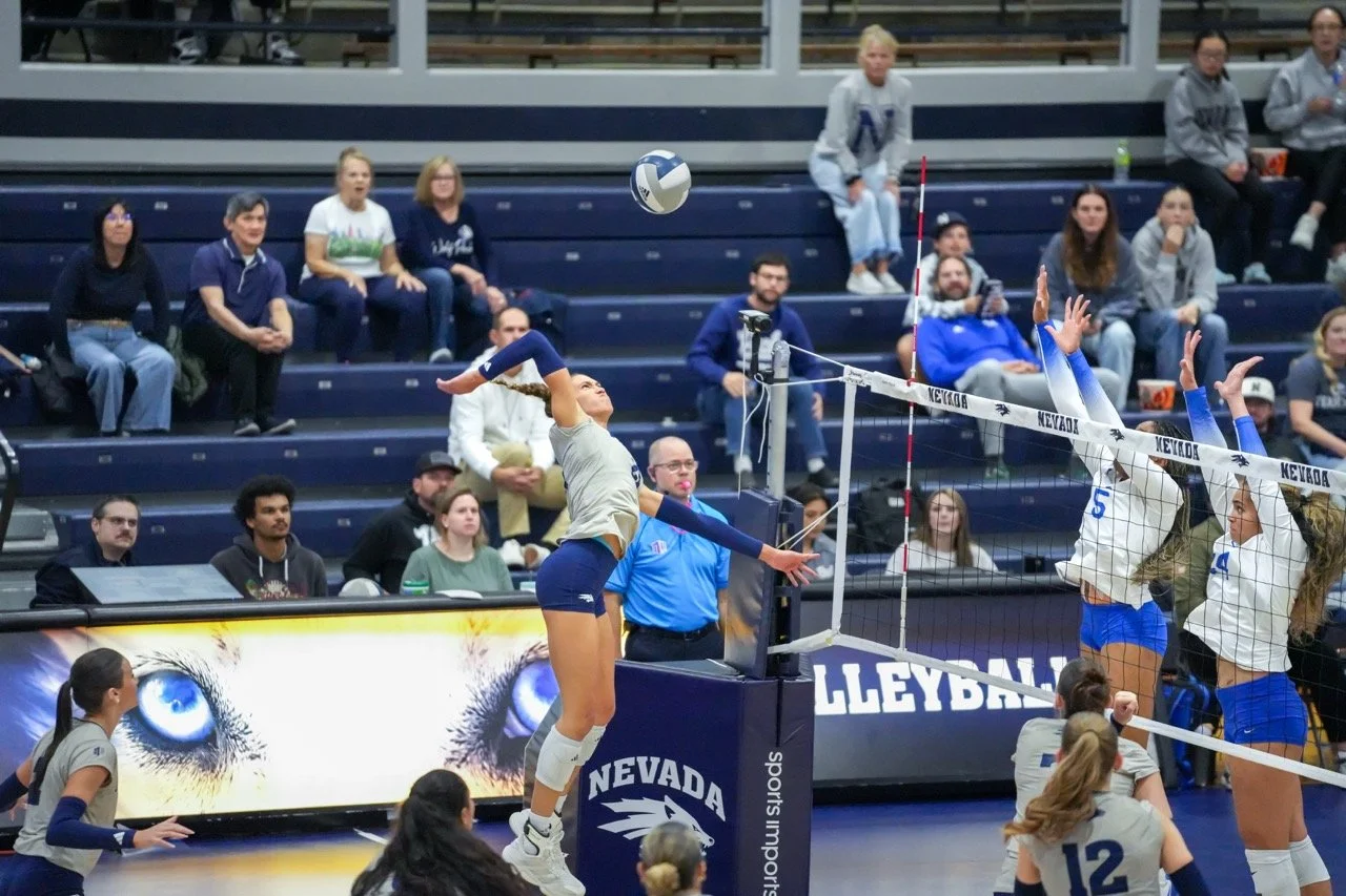 Set2_Brown21_Spike2 Large.jpeg