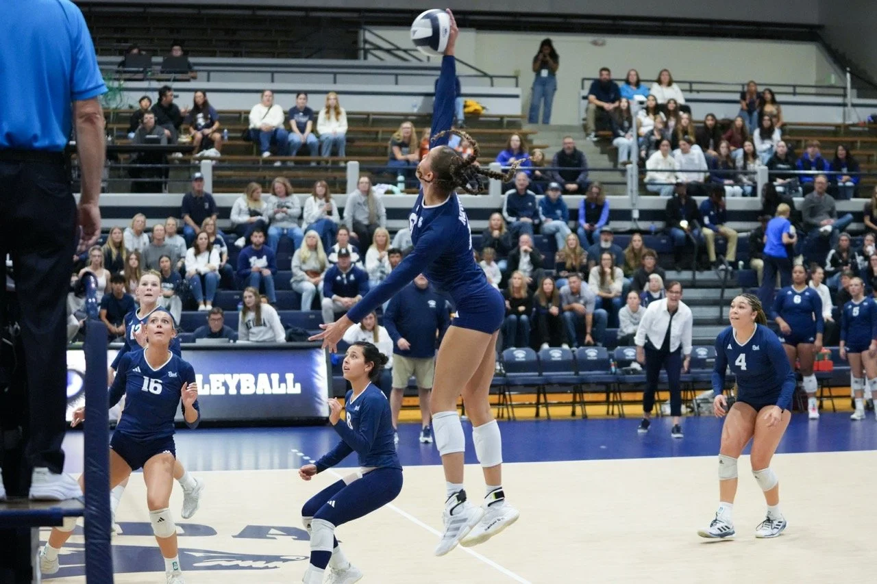 Set1_Brown21_Spike2 Large.jpeg