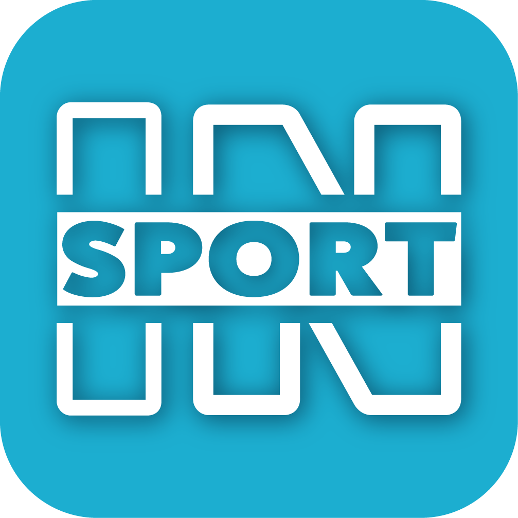 IN SPORT logo – immersive VR sports platform