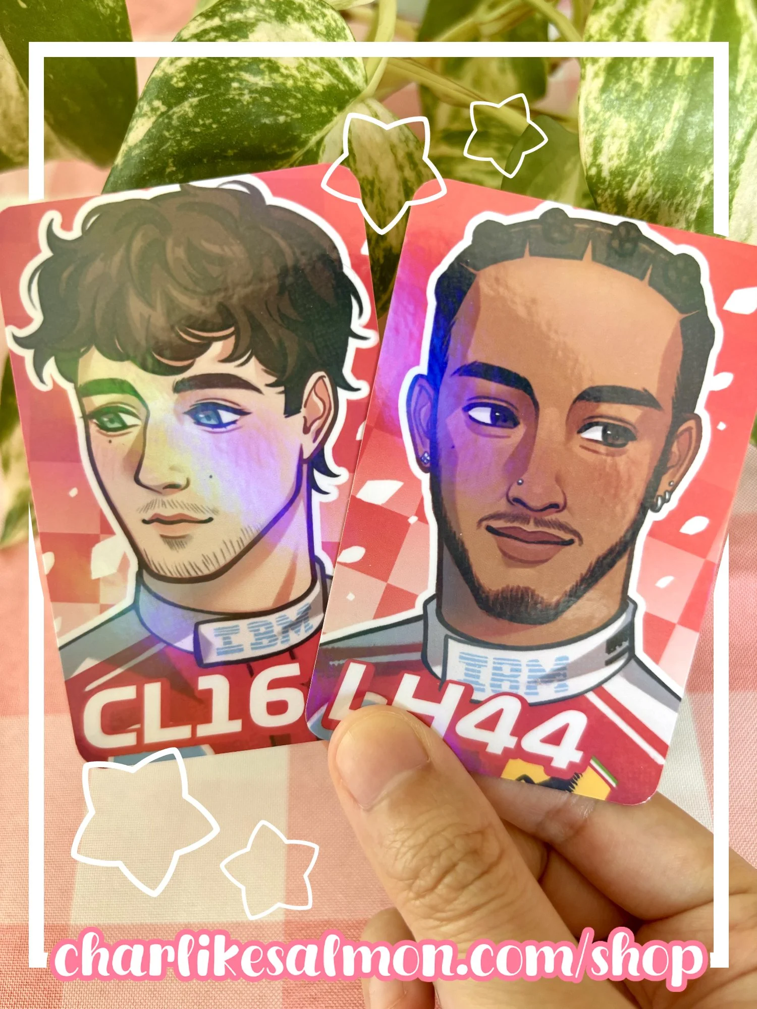 F1_Pocas_5.jpg