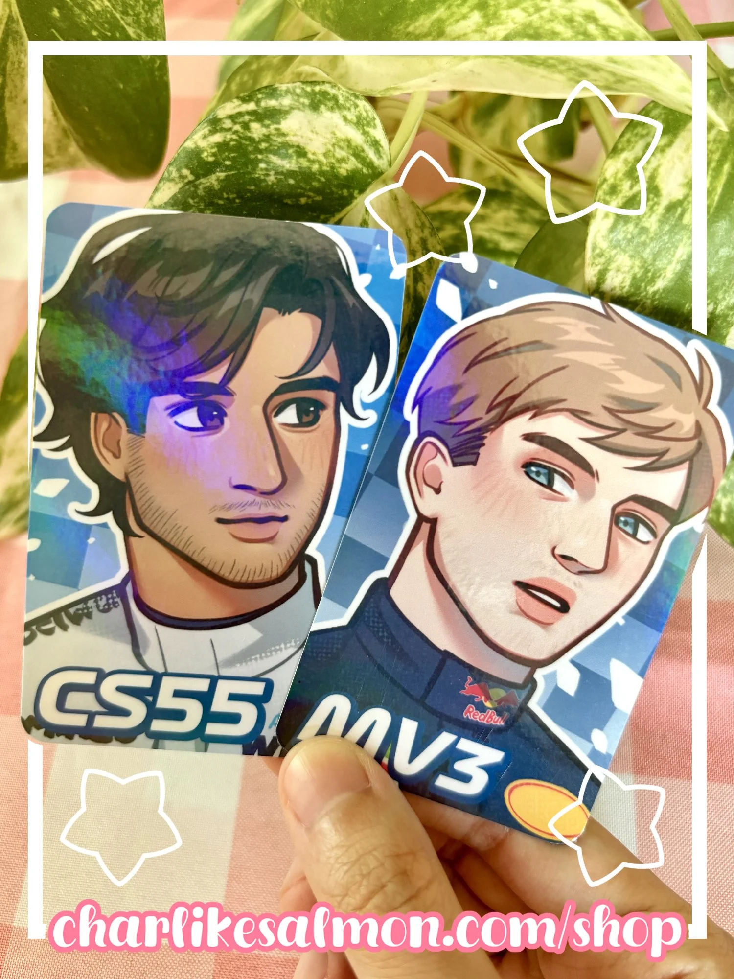 F1_Pocas_4.jpg