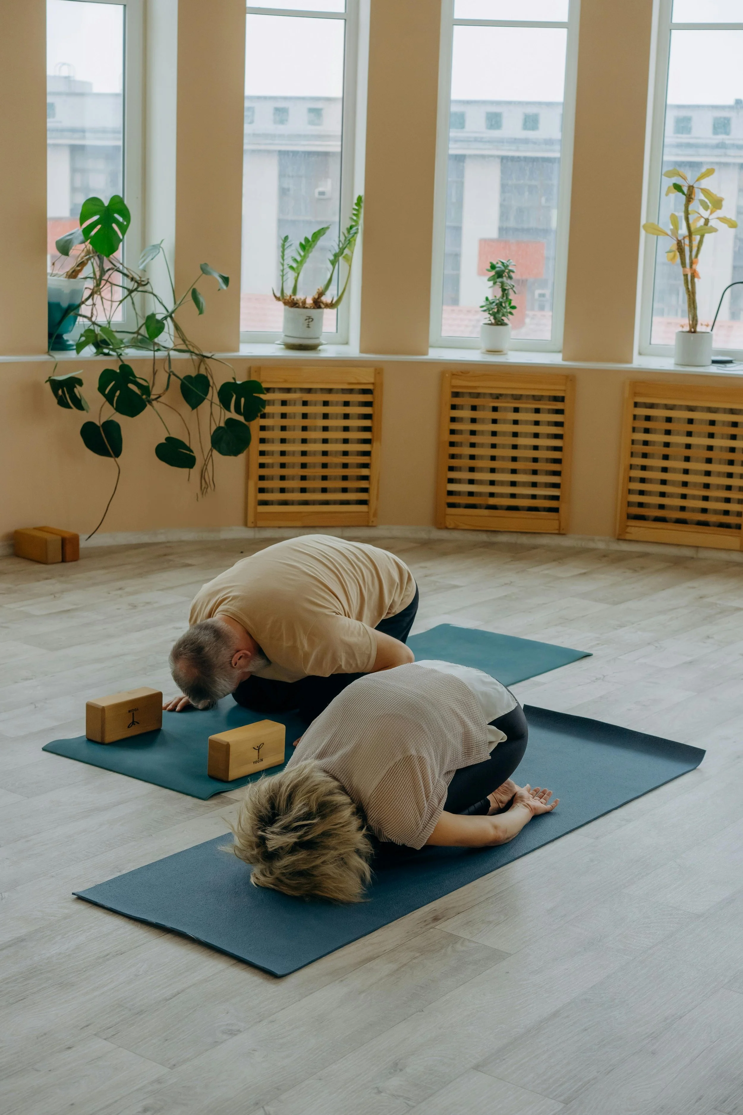 Two people practicing yoga on mats in a bright room with large windows and potted plants.