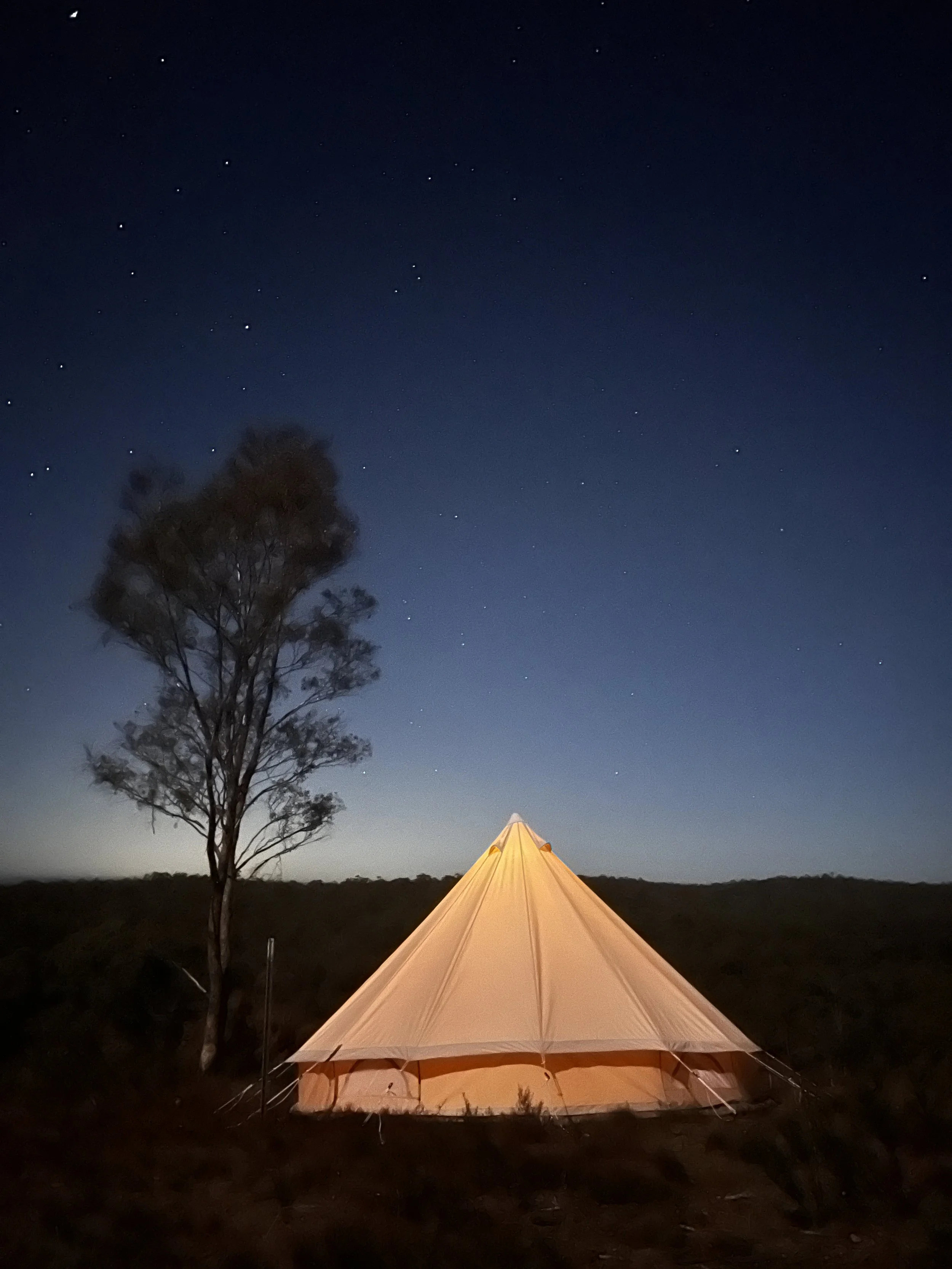 Bell tent under a starry sky