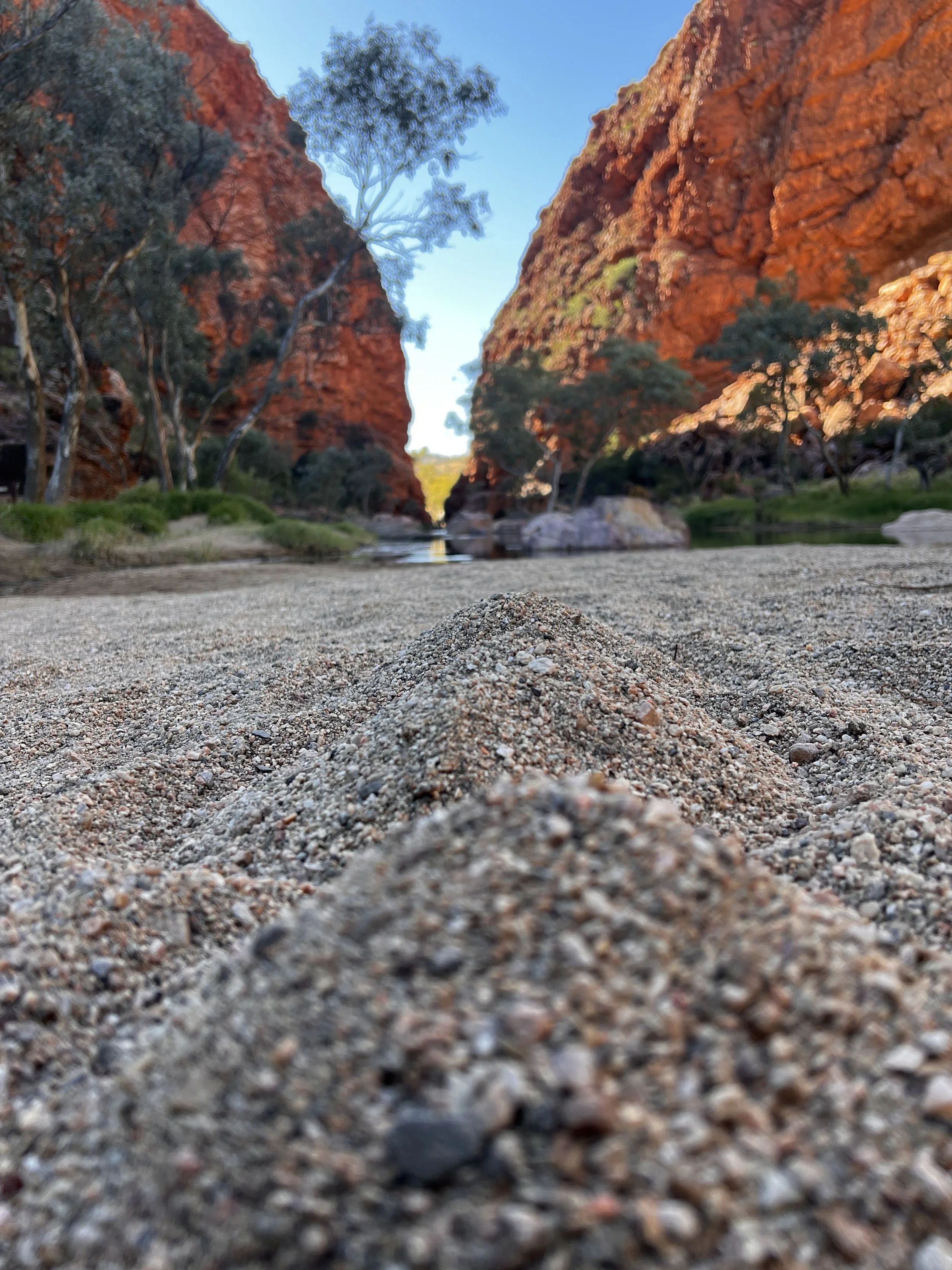 Close-up of sandy ground with a small mound in a river gorge with red rocky cliffs, trees, and water in the background.