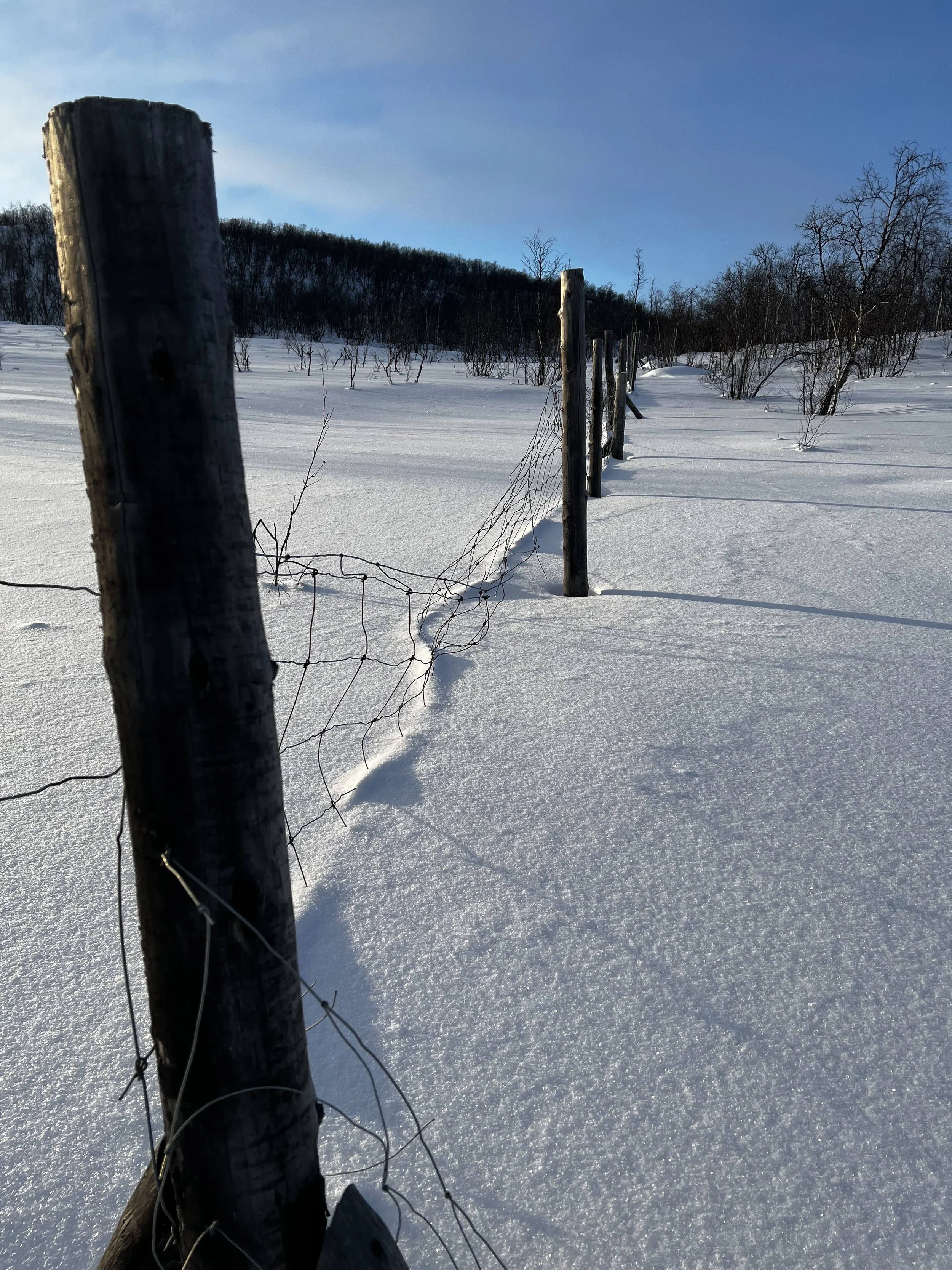 A snow-covered field with a wooden fence running diagonally. The fence has weathered posts and wire. In the background, leafless trees and a hill are visible under a blue sky.