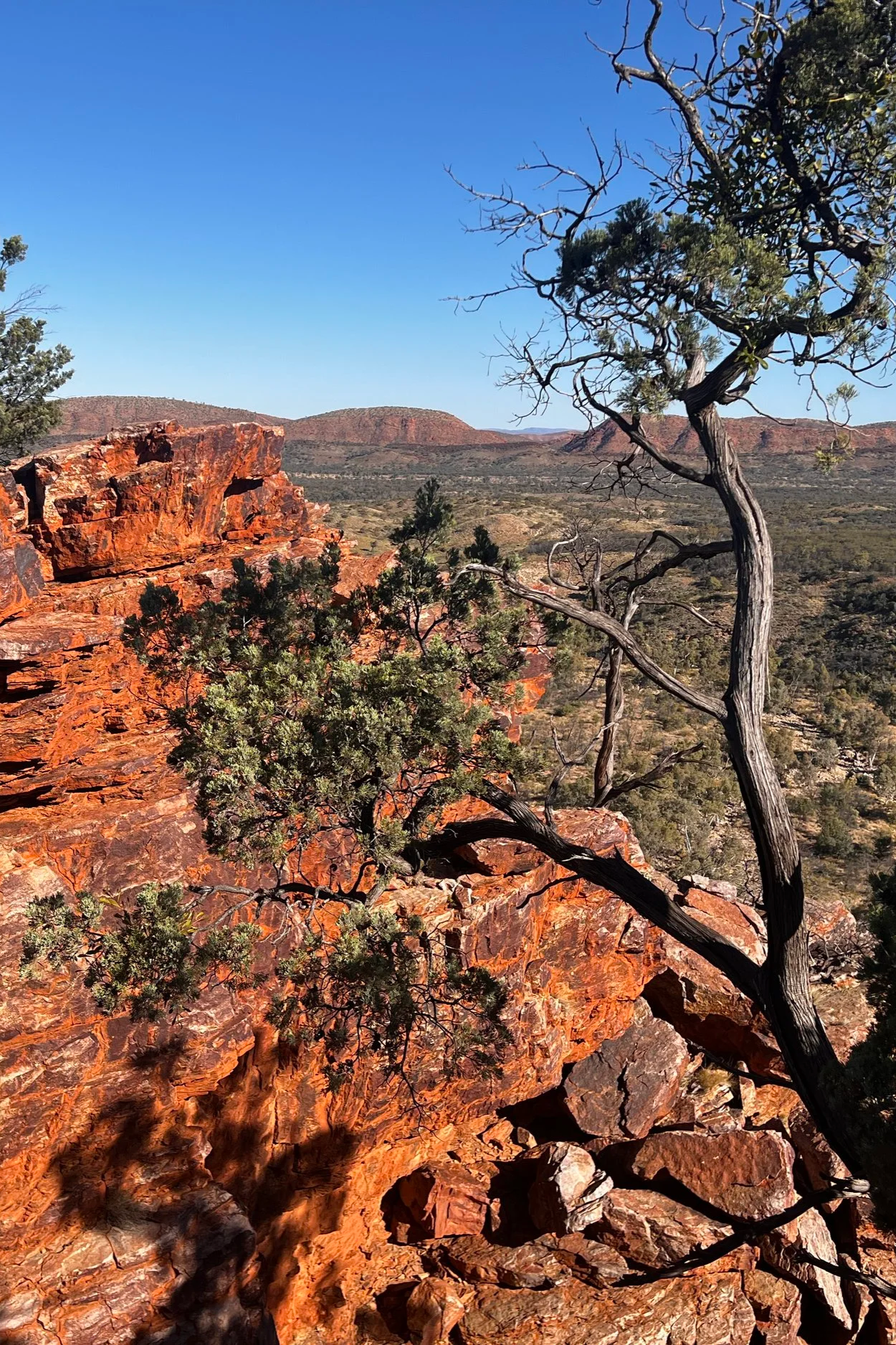 red cliffs with mountains in the background