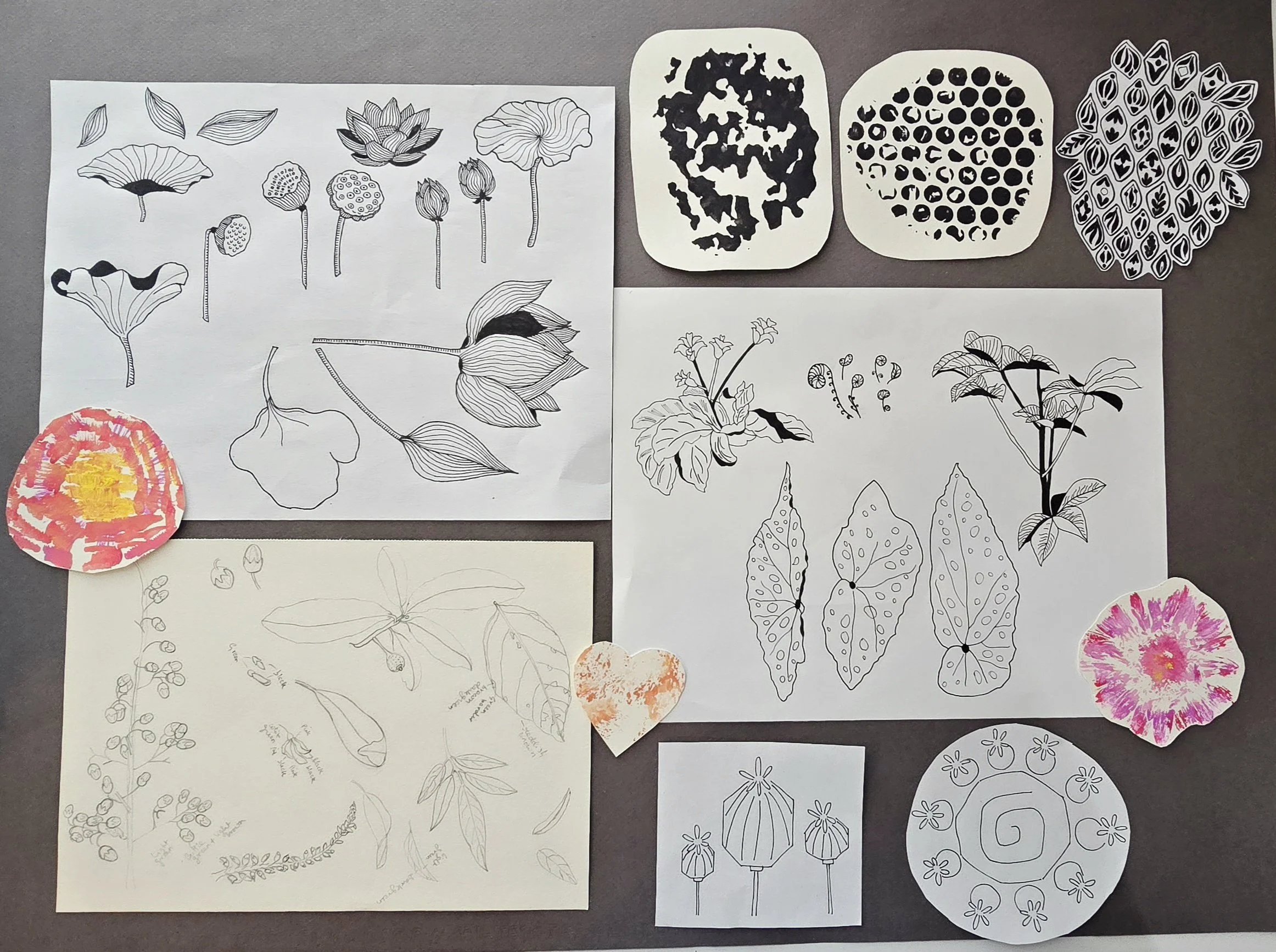 Founder of Align One Surface Pattern Studio, Pratyasha Sharma's creative references: black-and-white botanical sketches and illustrations of flowers, leaves, and plant parts, with some colored paper cutouts resembling flowers.