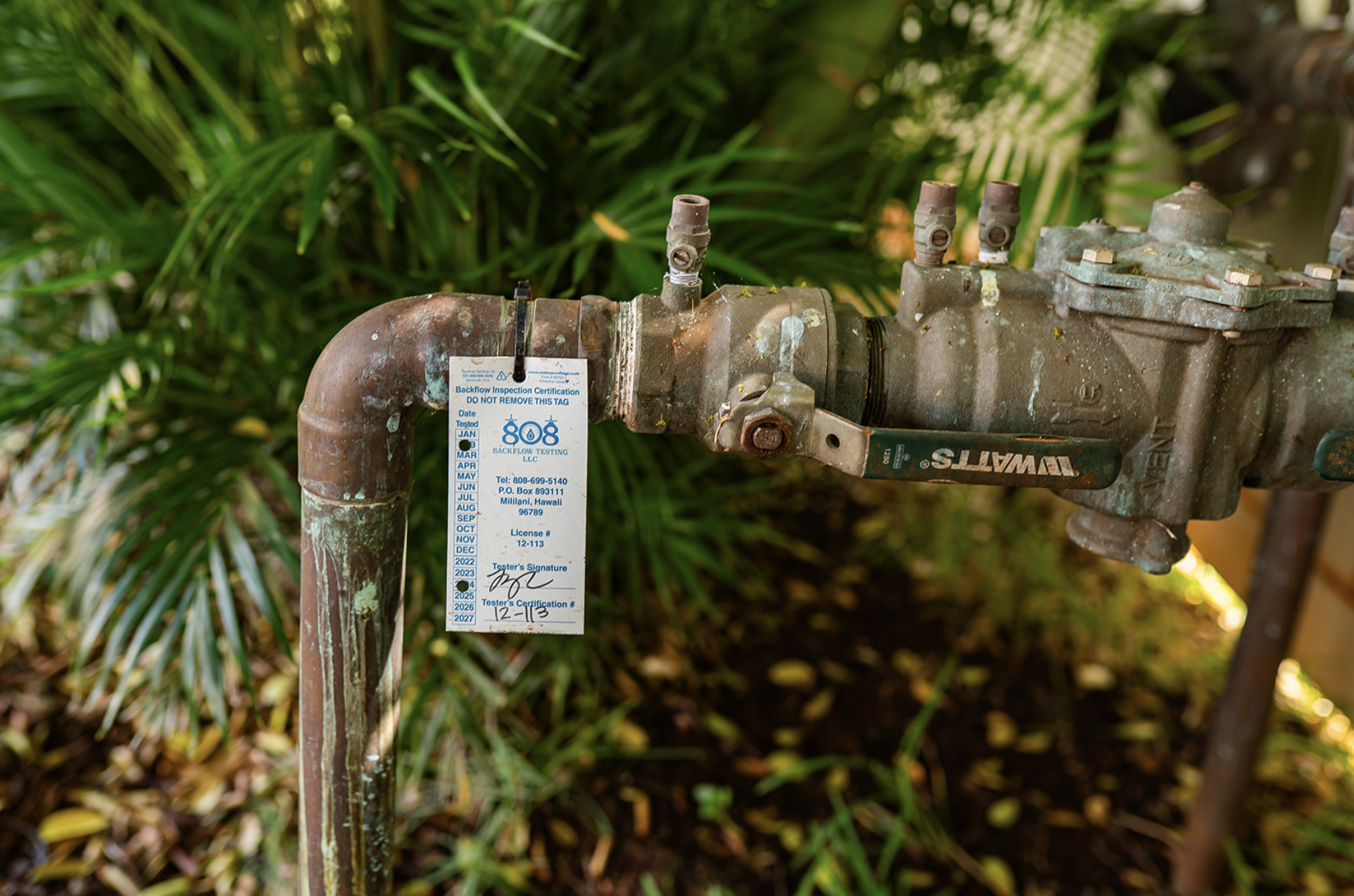 An outdoor irrigation system with aged, rusted metal pipes and a backflow prevention device. There is a certification tag attached to the pipe, and green foliage is in the background.