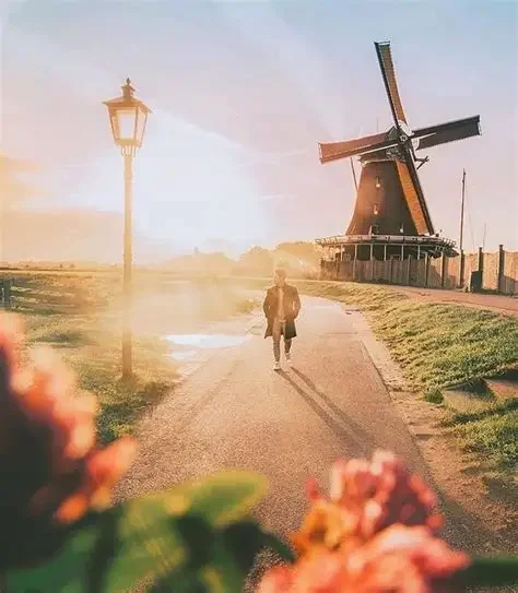 Study Abroad in the Netherlands SINGLE