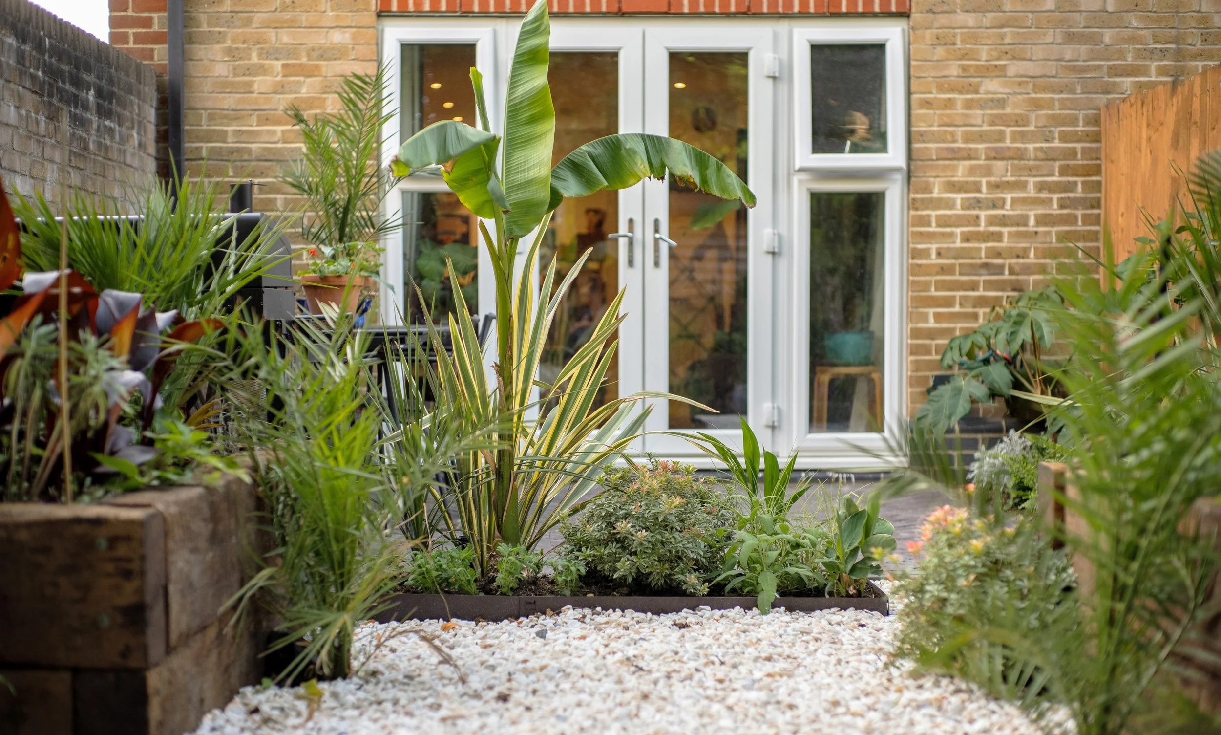 Case Study: Creating a Tropical Jungle in a Small City Courtyard