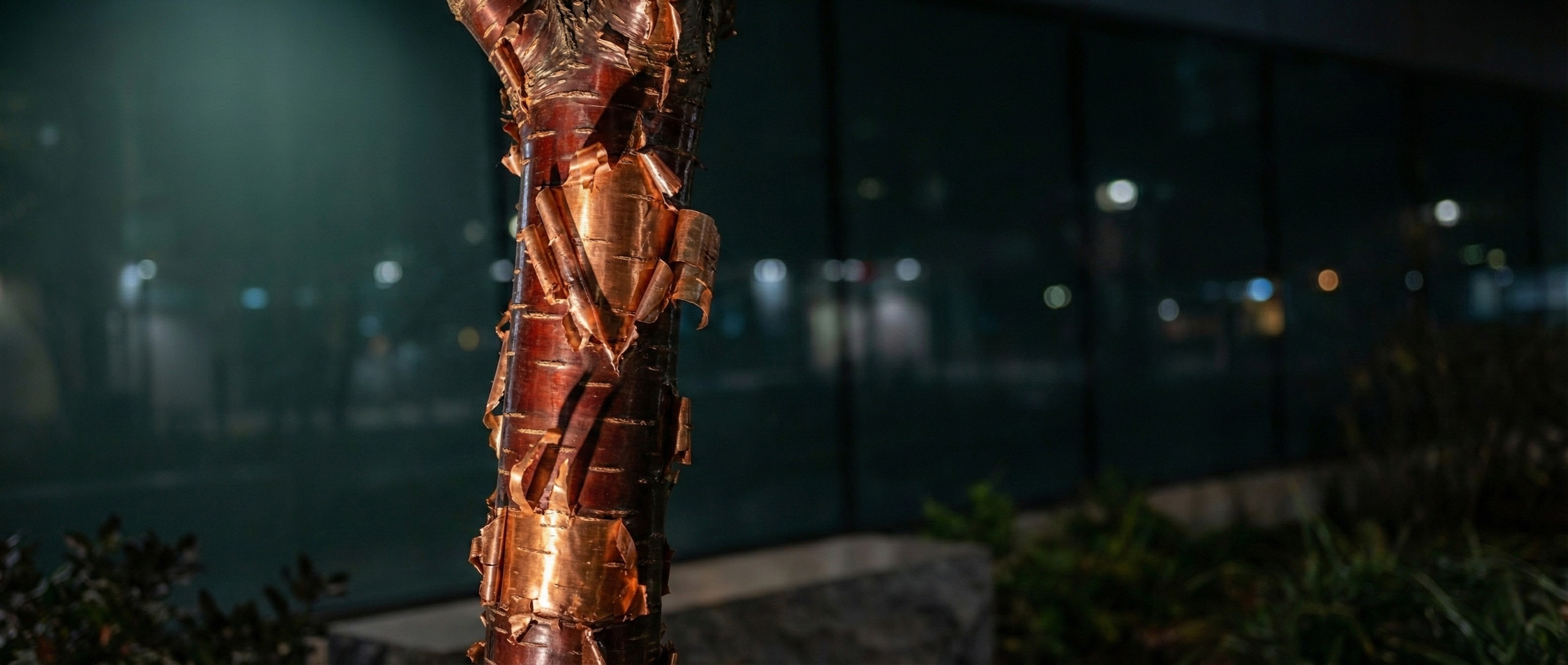 Forensic 3D digital twin rendering of the nocturnal sanctuary