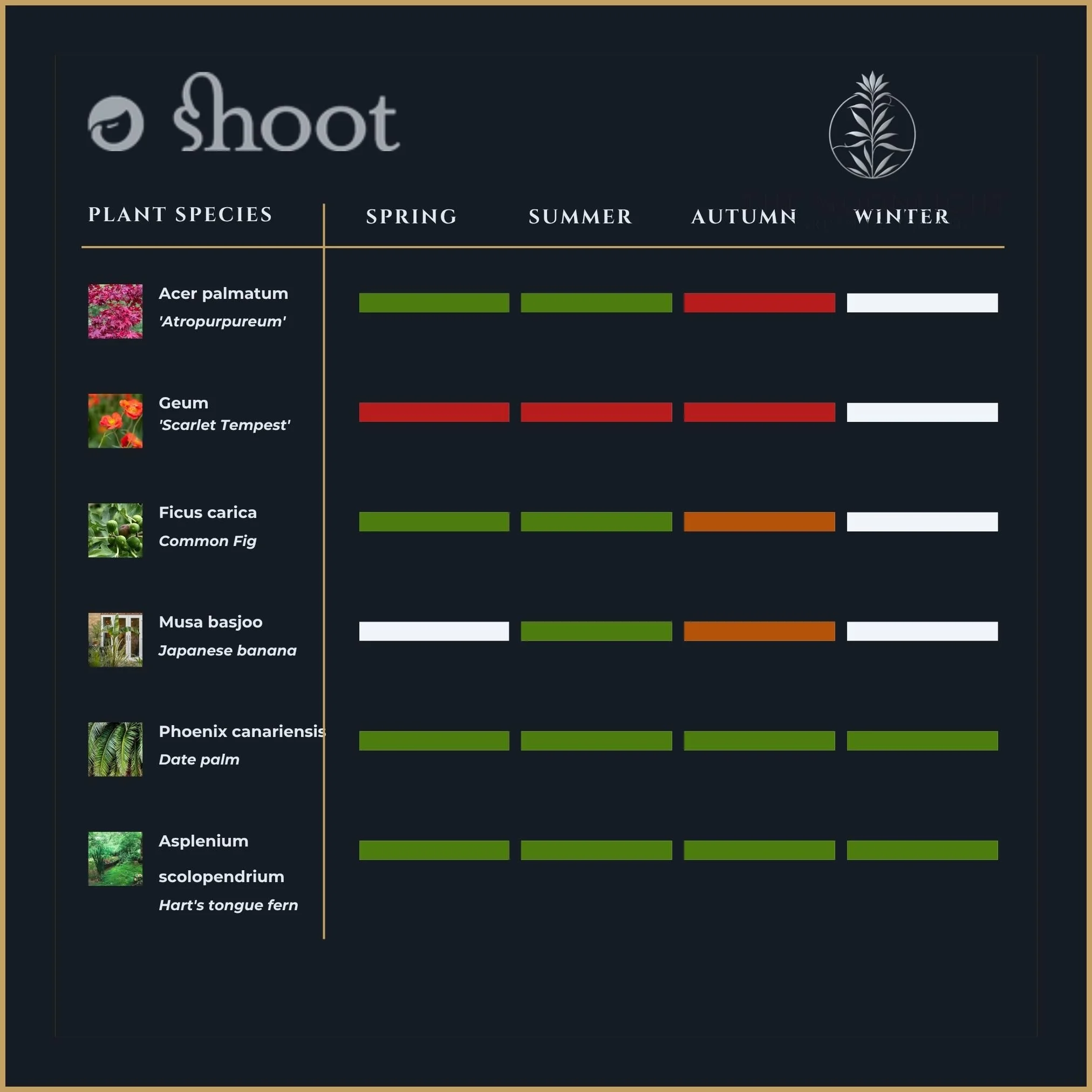 A screenshot of the digital 'Shoot' interface, demonstrating detailed and verified pruning intelligence for a bespoke Moonlight Studio botanical care calendar.