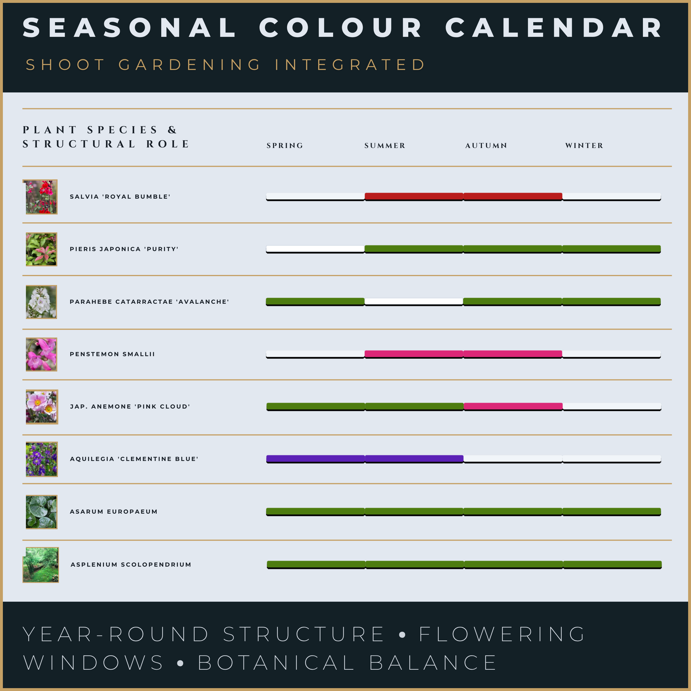 Seasonal colour calendar showing flowering periods and year-round planting structure with Shoot Gardening integration for ongoing garden care and plant performance tracking.
